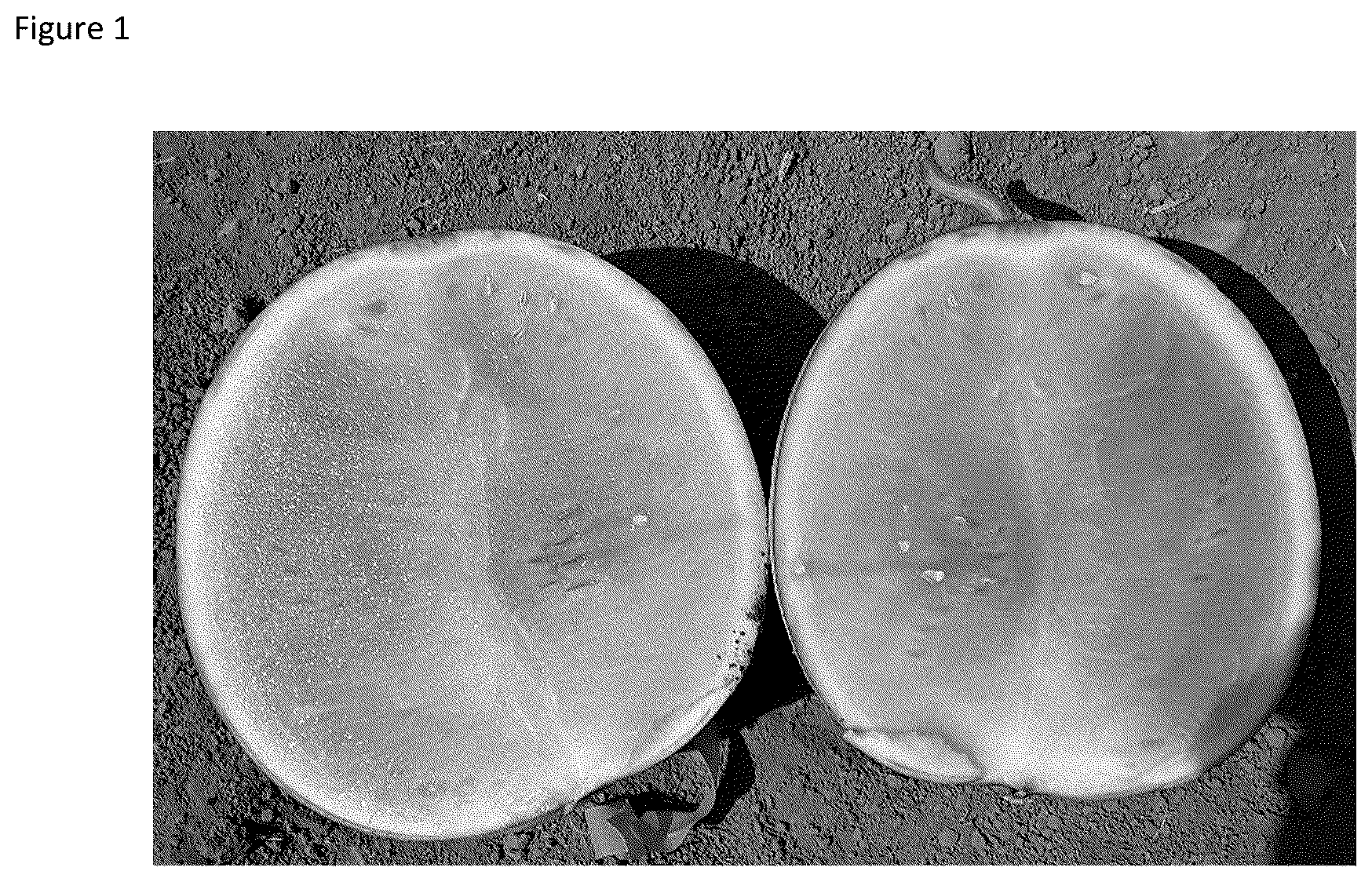 Patent US12588612 Figure 1 – Parthenocarpic watermelon plants