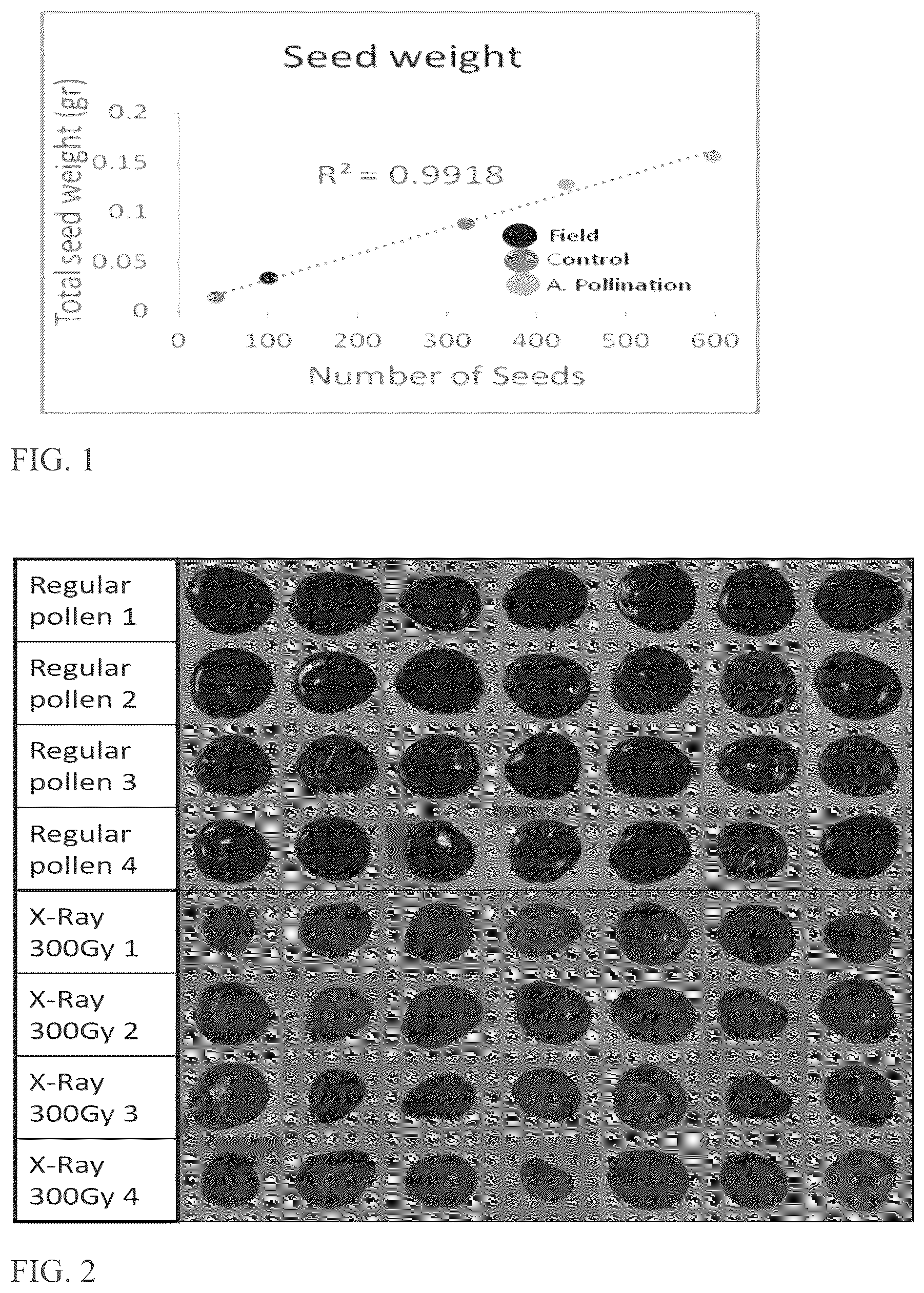 Patent US12588681 — Compositions, kits and methods for weed control — Figure 1