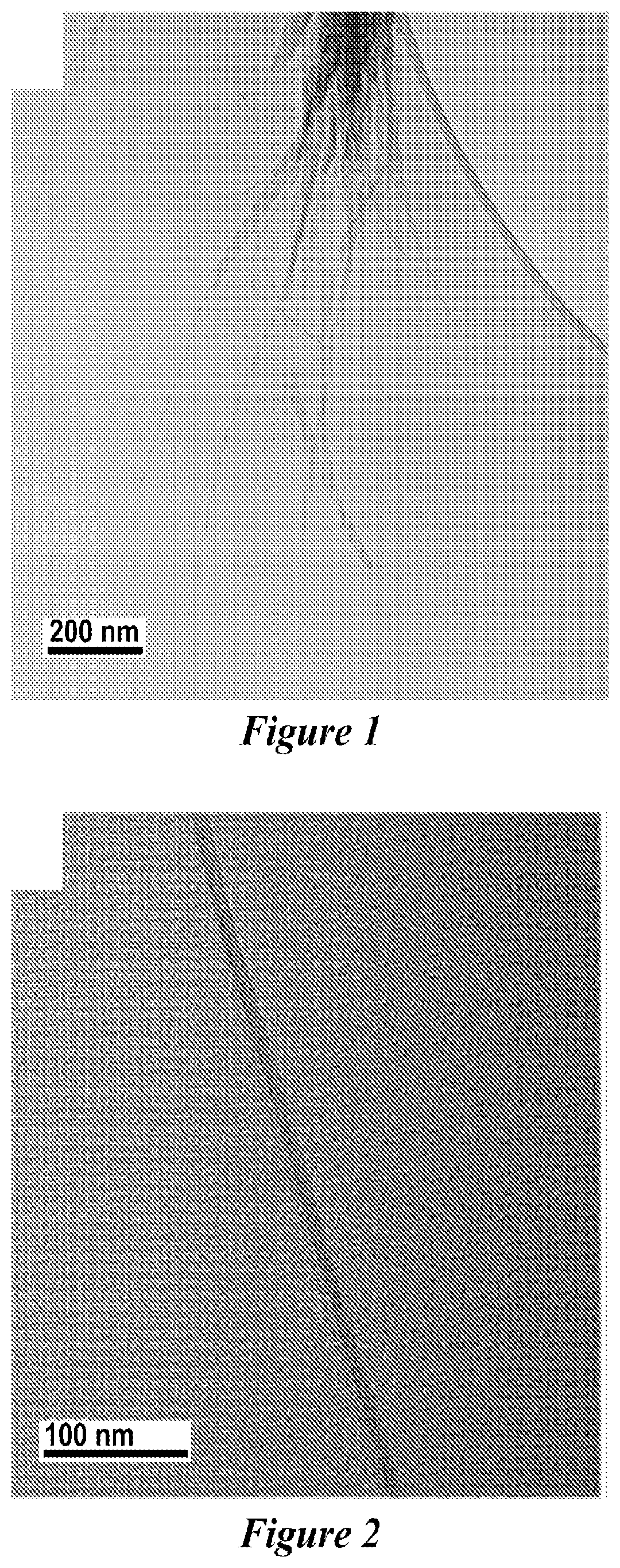 Patent US12590007 — Zeolite nanotubes and methods of making and use thereof — Figure 1