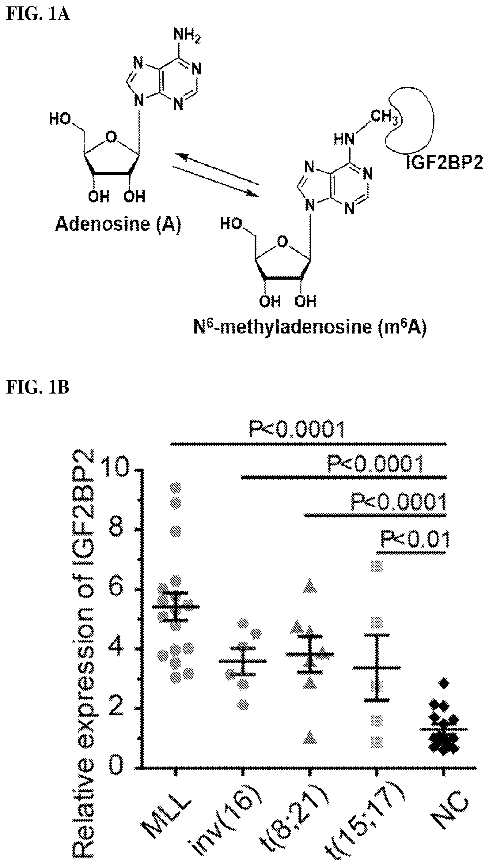 Patent US12590056 — IGF2BP2 inhibitors and uses thereof — Figure 1