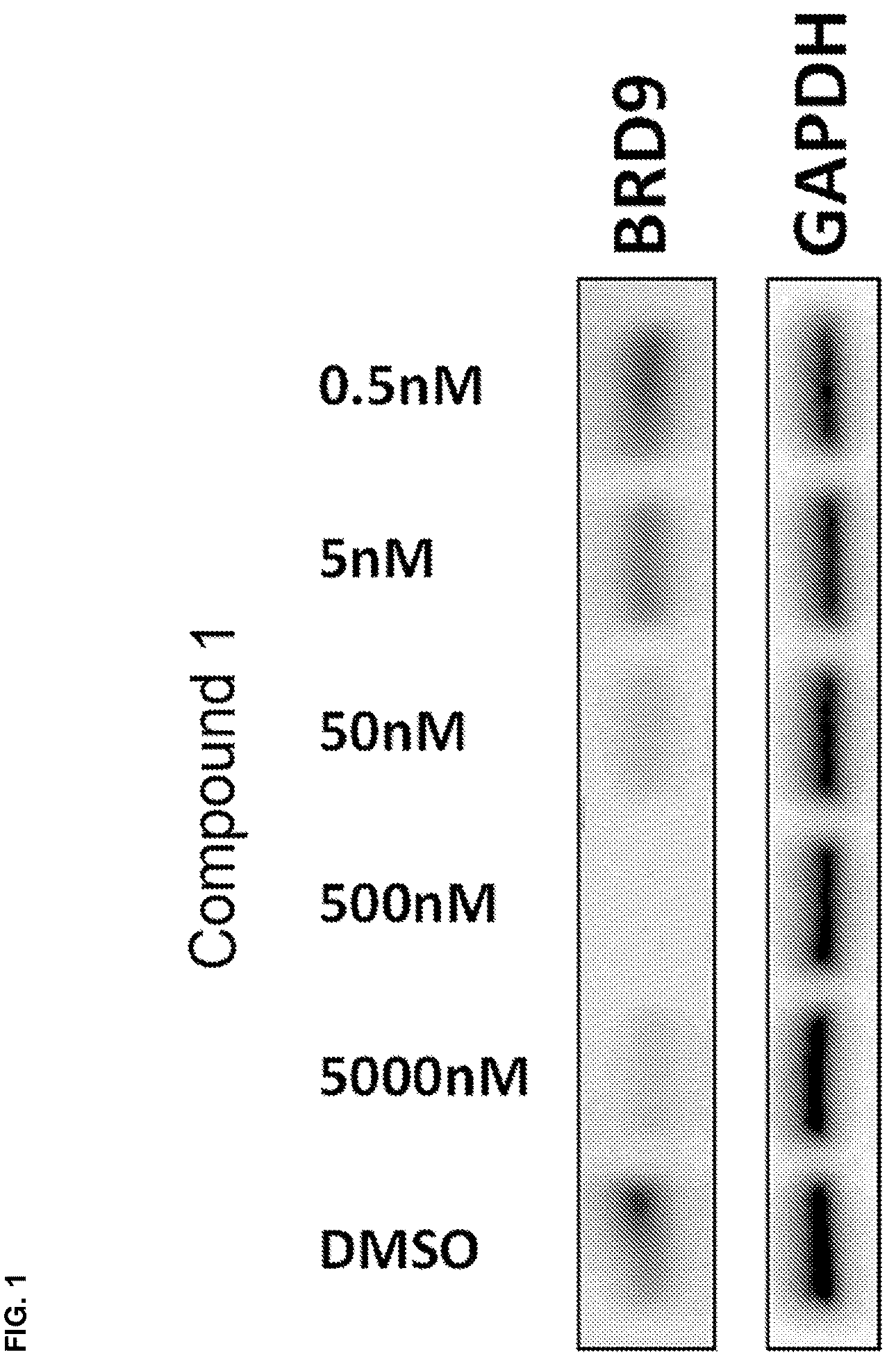 Patent US12590079 — Compounds and uses thereof — Figure 1