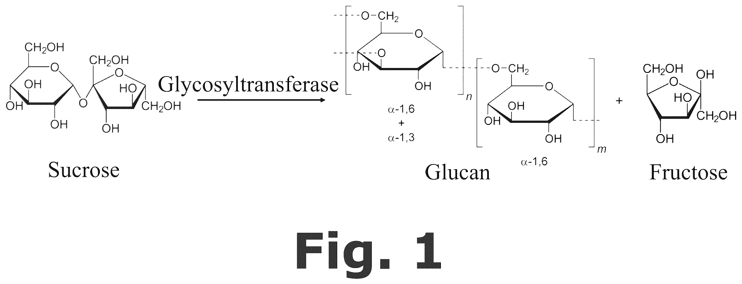 Patent US12590111 — Flavonoid derivative for treating dental caries — Figure 1