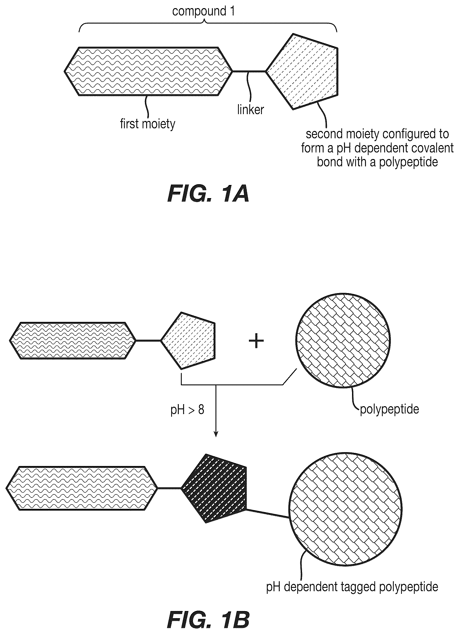 Patent US12590120 — Materials and methods for isolating self-antigen polypeptides — Figure 1