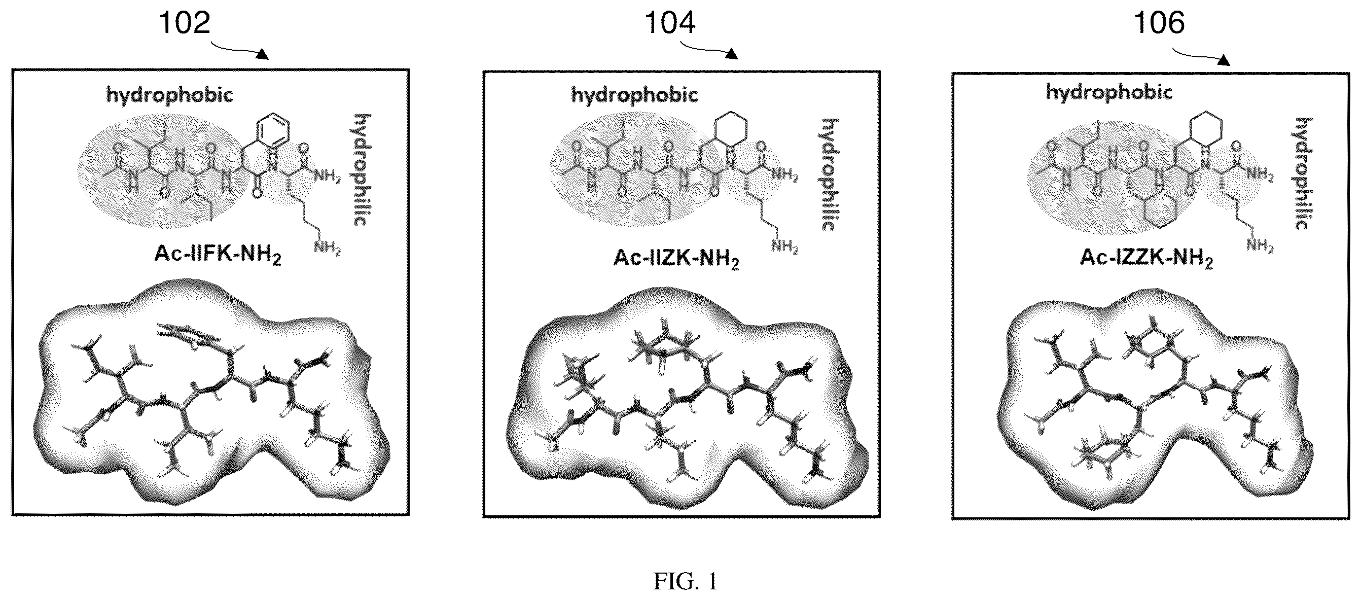 Patent US12590121 — Peptide compound with repetitive sequences — Figure 1