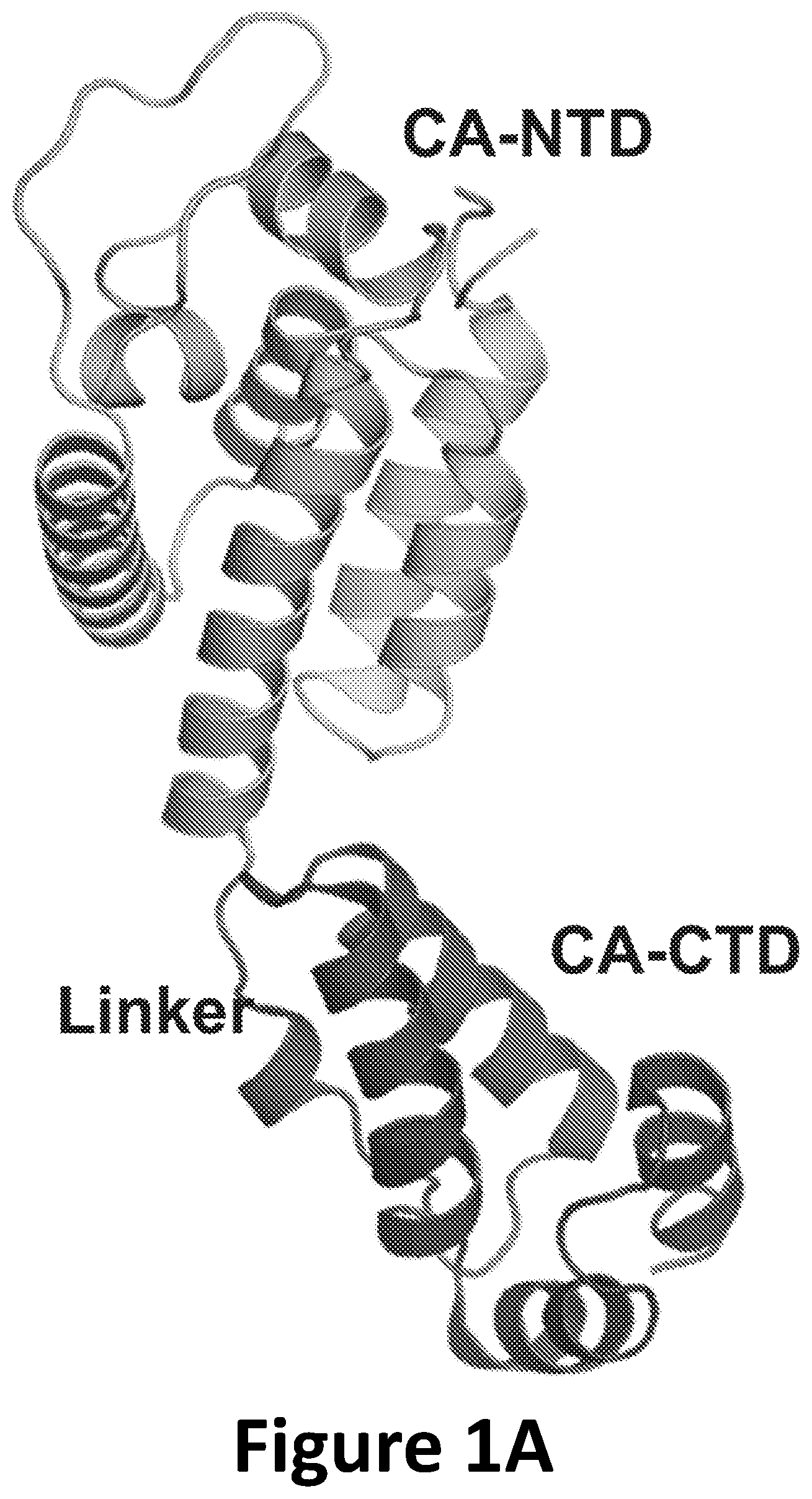 Patent US12590125 Figure 1 – Peptide inhibitors for the inhibition of HIV capsid