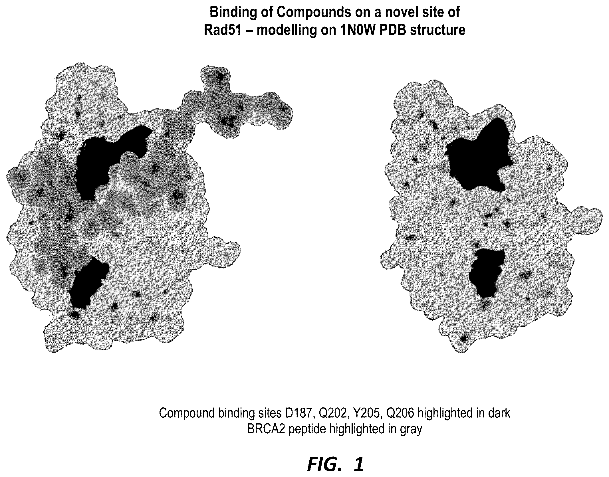 Patent US12590126 — Compounds for selective disruption of protein-protein interactions — Figure 1