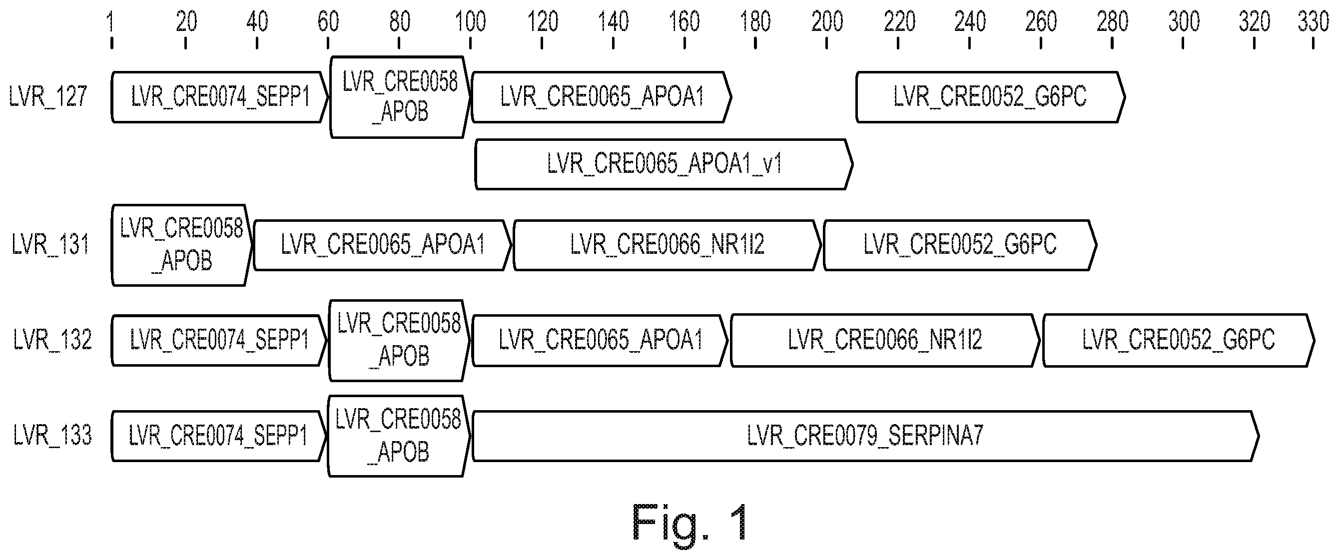 Patent US12590129 — Liver-specific regulatory nucleic acid sequences — Figure 1