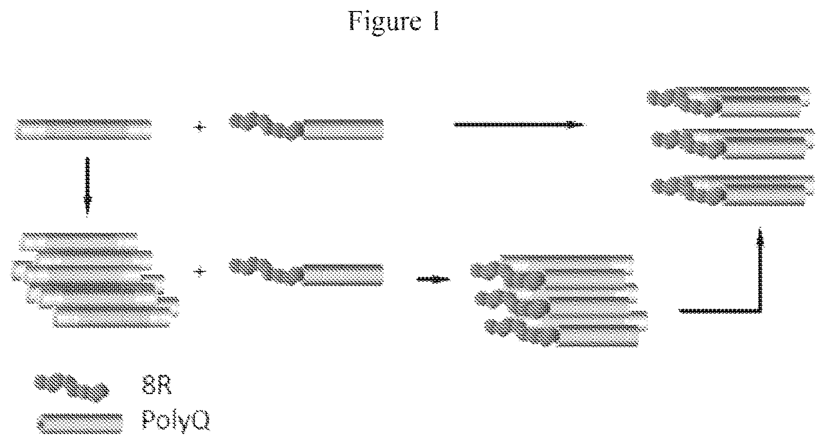 Patent US12590130 — Bipartite molecules and uses thereof in treating diseases associated with abnormal protein aggregates — Figure 1