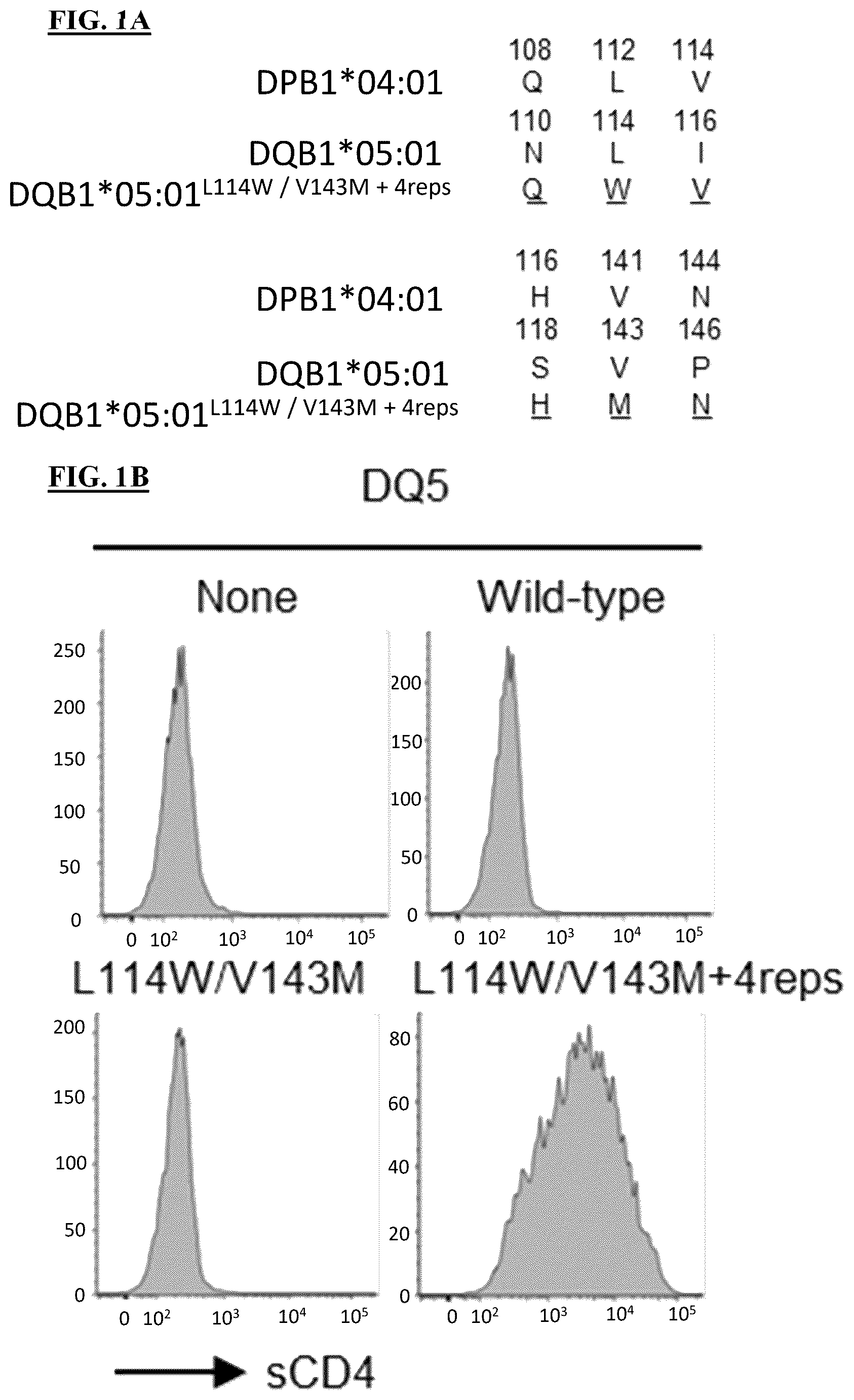 Patent US12590139 — MHC class II molecules and methods of use thereof — Figure 1