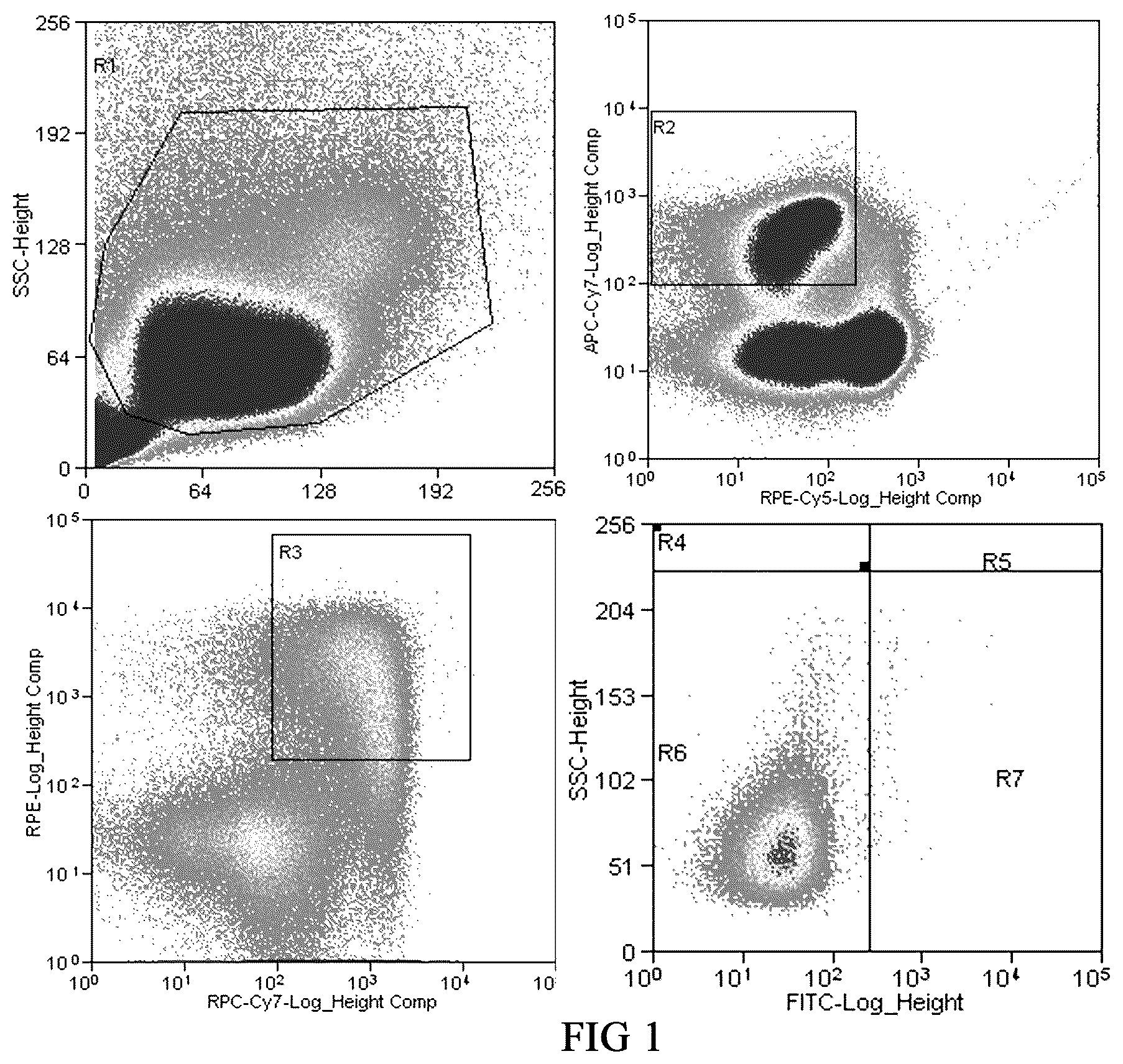 Patent US12590141 Figure 1 – Monoclonal antibodies against Henipavirus glycoprotein G and encoding nucleic acids thereof
