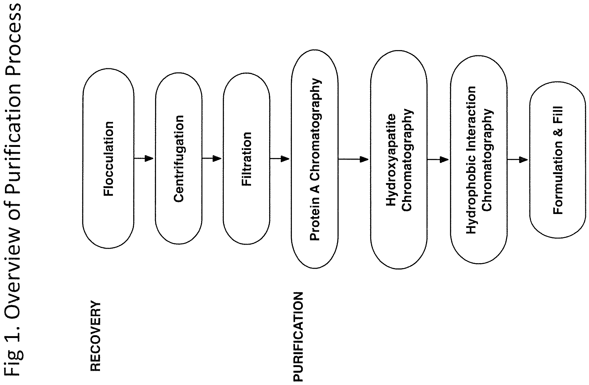 Patent US12590142 — Antibody purification and purity monitoring — Figure 1