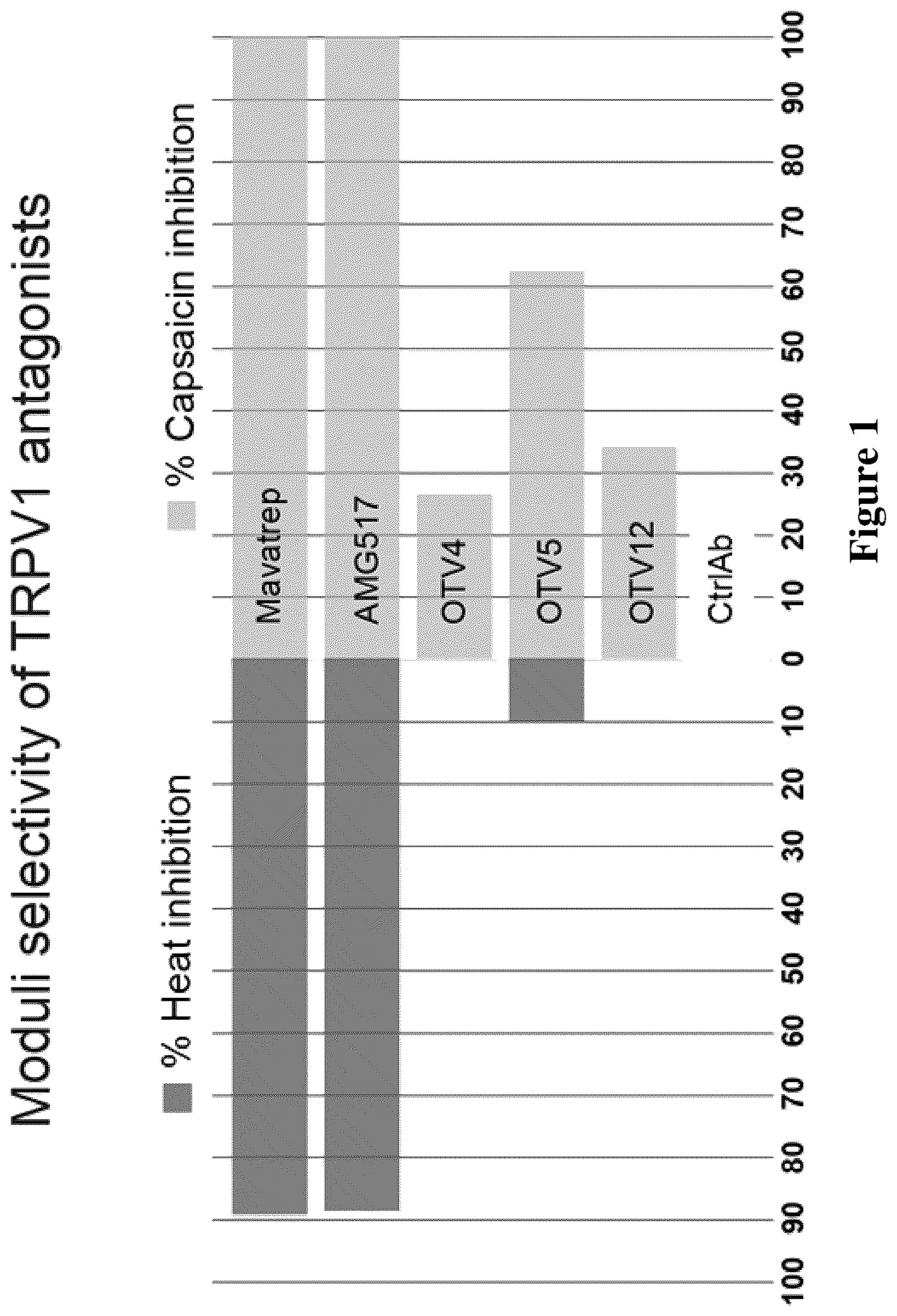 Patent US12590147 — TRPV1 epitopes and antibodies — Figure 1