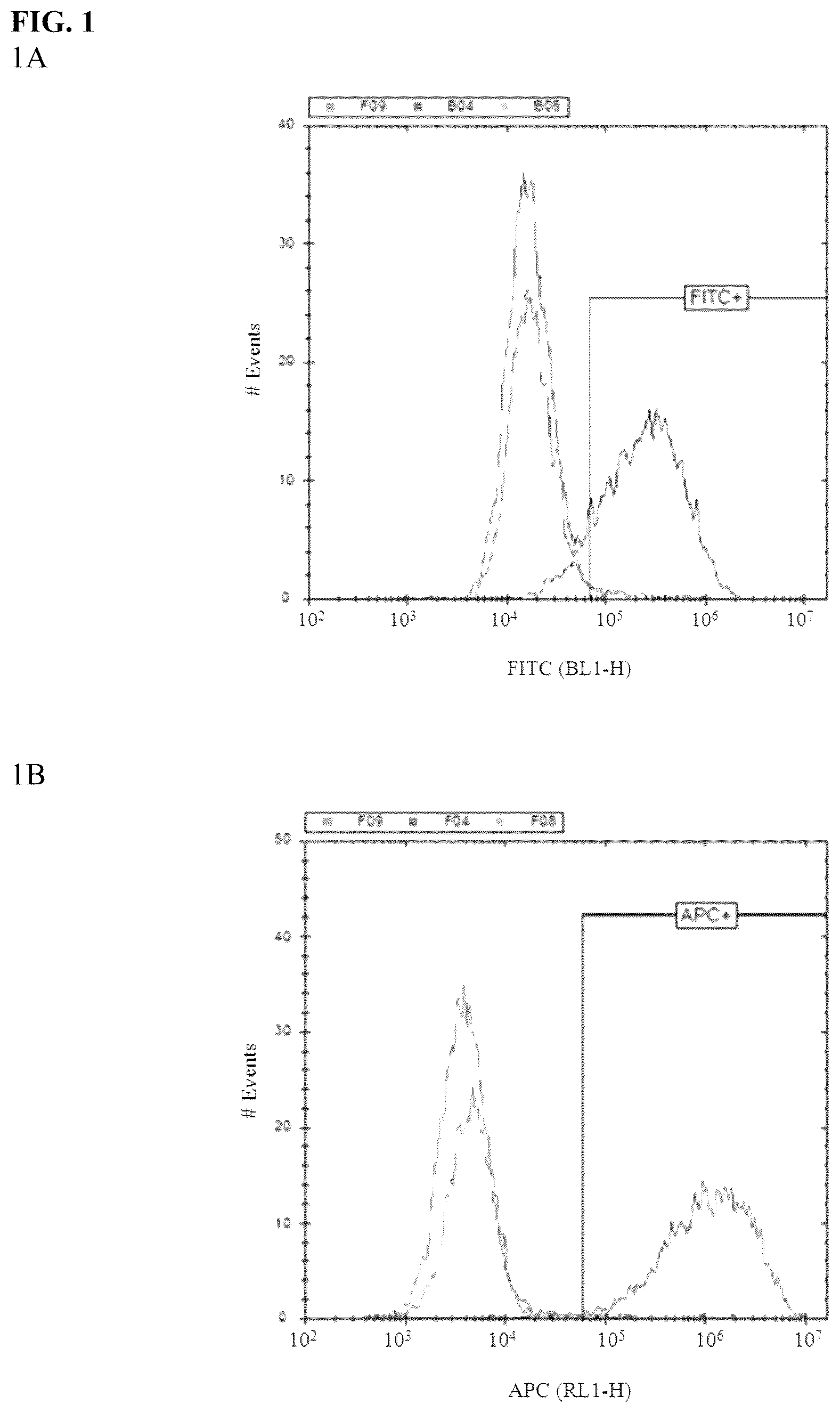 Patent US12590150 — Antibody against Nectin-4 and application thereof — Figure 1