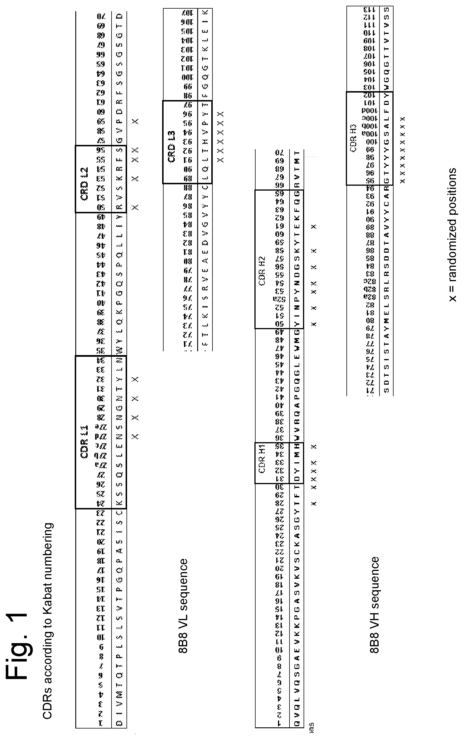 Patent US12590151 — Anti-human CD19 antibodies with high affinity — Figure 1