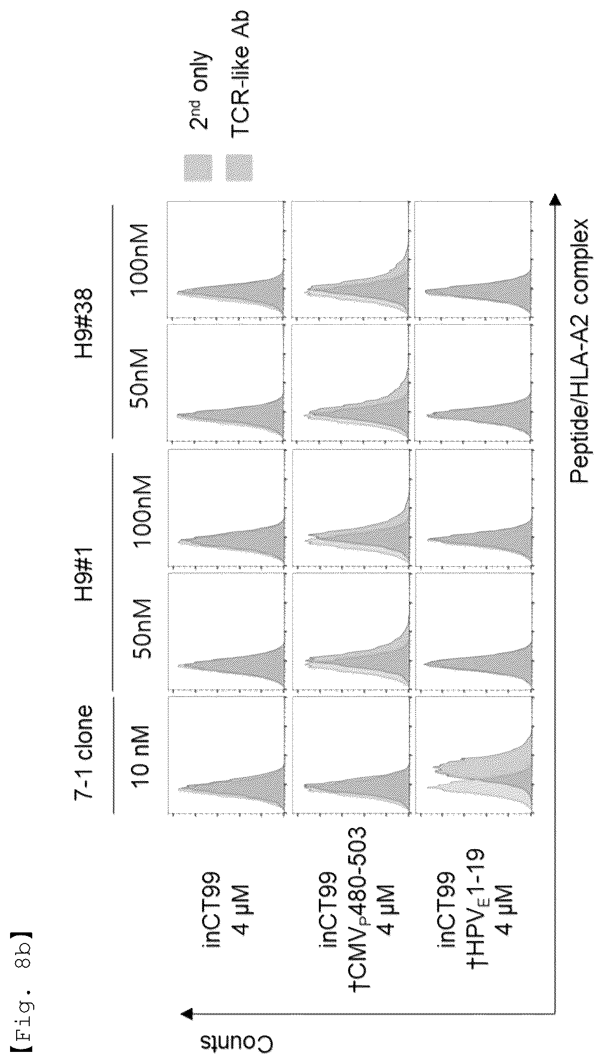 Patent US12590156 Figure 13 – Fusion antibody for presenting antigen-derived T cell antigen epitope or peptide containing same on cell surface, and composition comprising same
