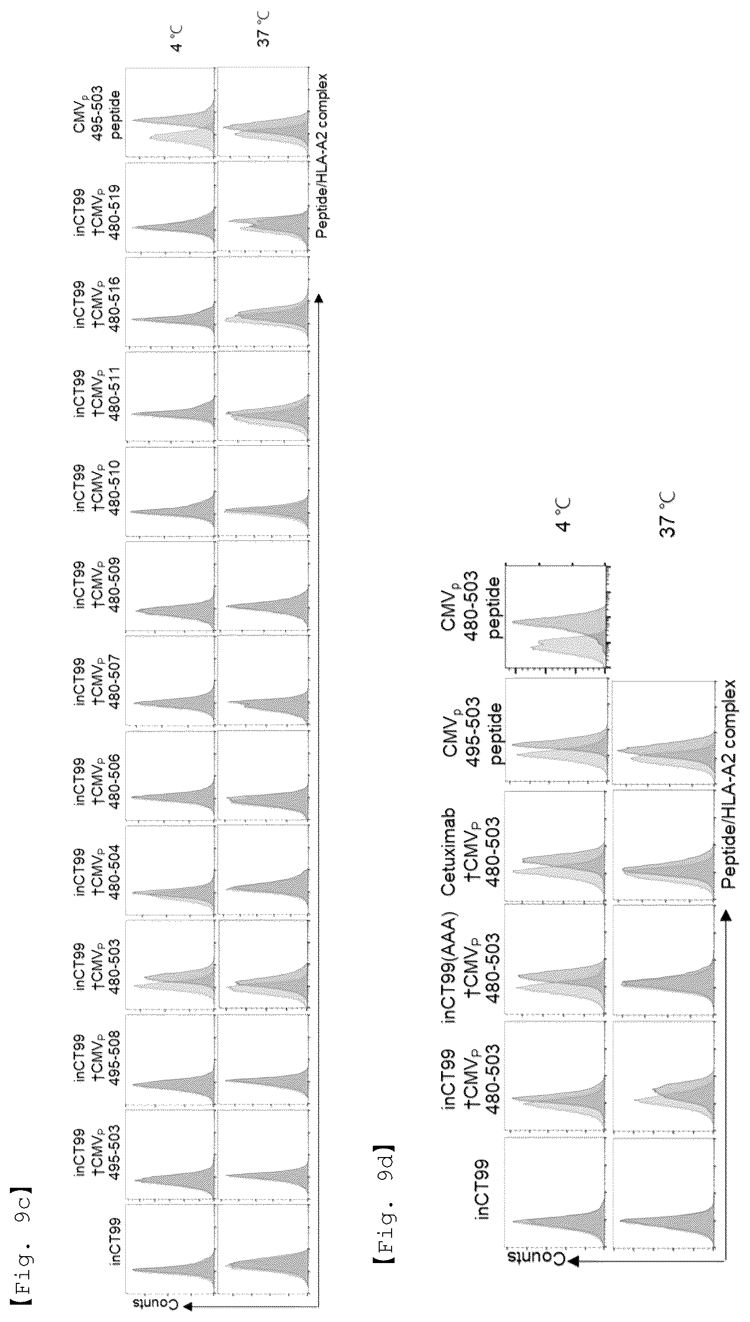 Patent US12590156 Figure 17 – Fusion antibody for presenting antigen-derived T cell antigen epitope or peptide containing same on cell surface, and composition comprising same
