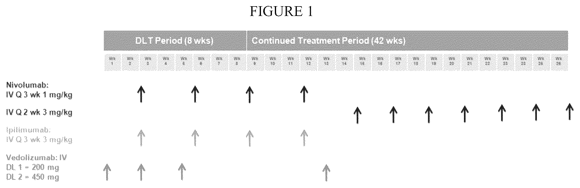 Patent US12590157 Figure 1 – Methods of treating gastrointestinal immune-related adverse events in immune oncology treatments