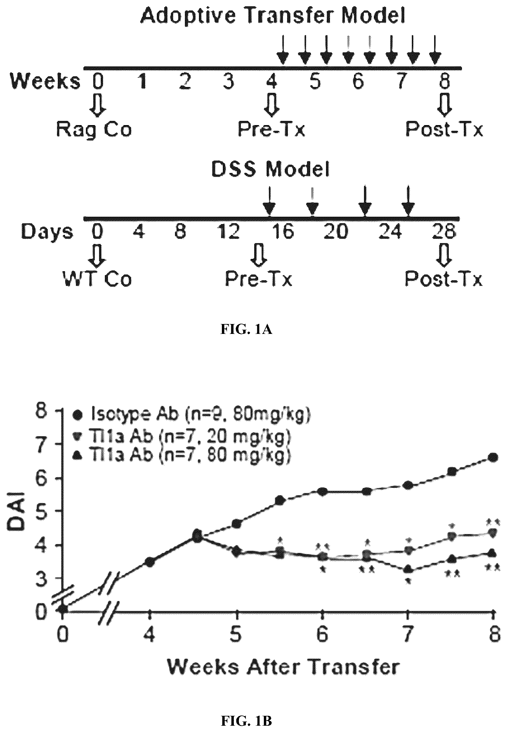 Patent US12590160 Figure 1 – Mitigation and reversal of intestinal fibrosis and inflammation by inhibition of TL1A function