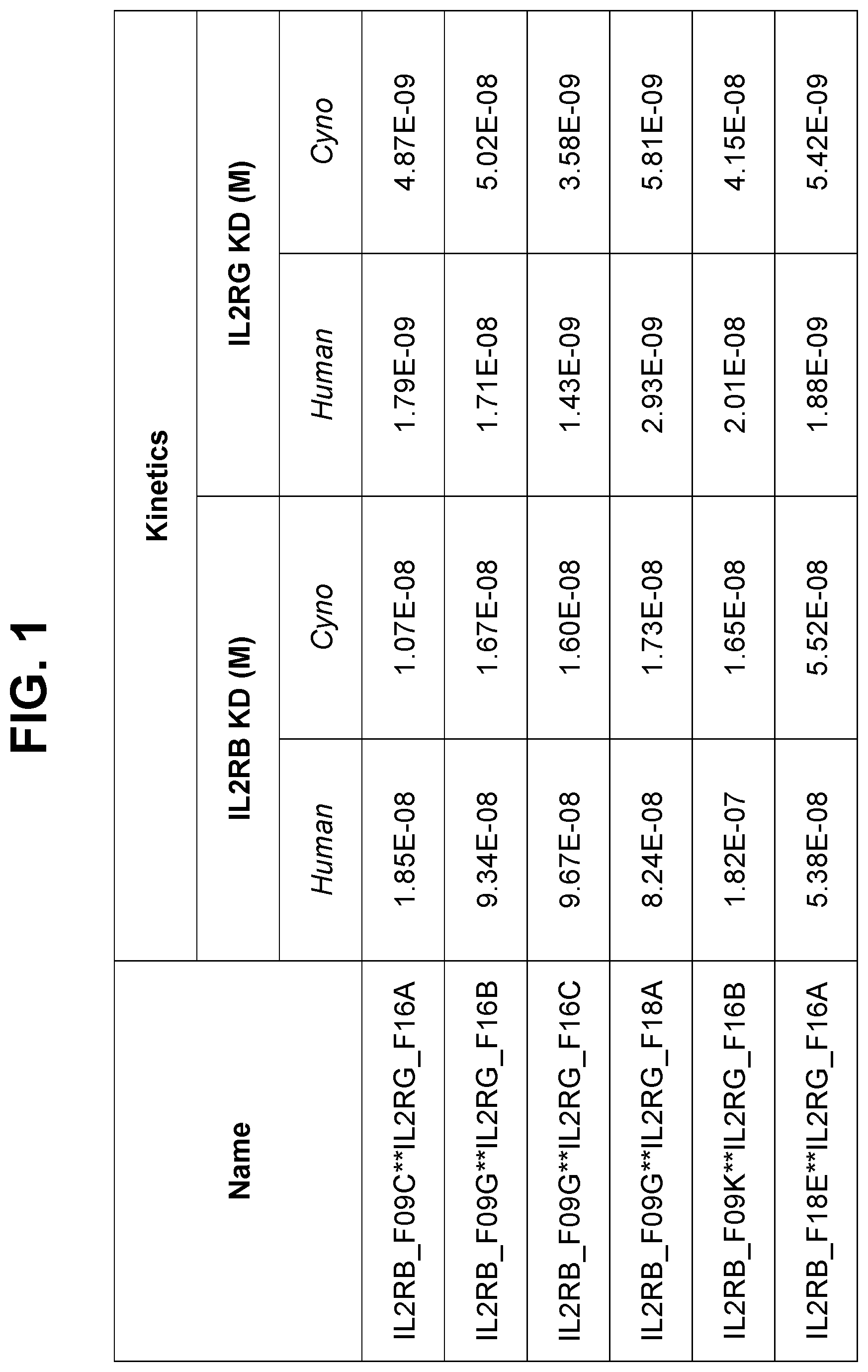 Patent US12590163 — Agonistic anti-IL-2R antibodies and methods of use — Figure 1