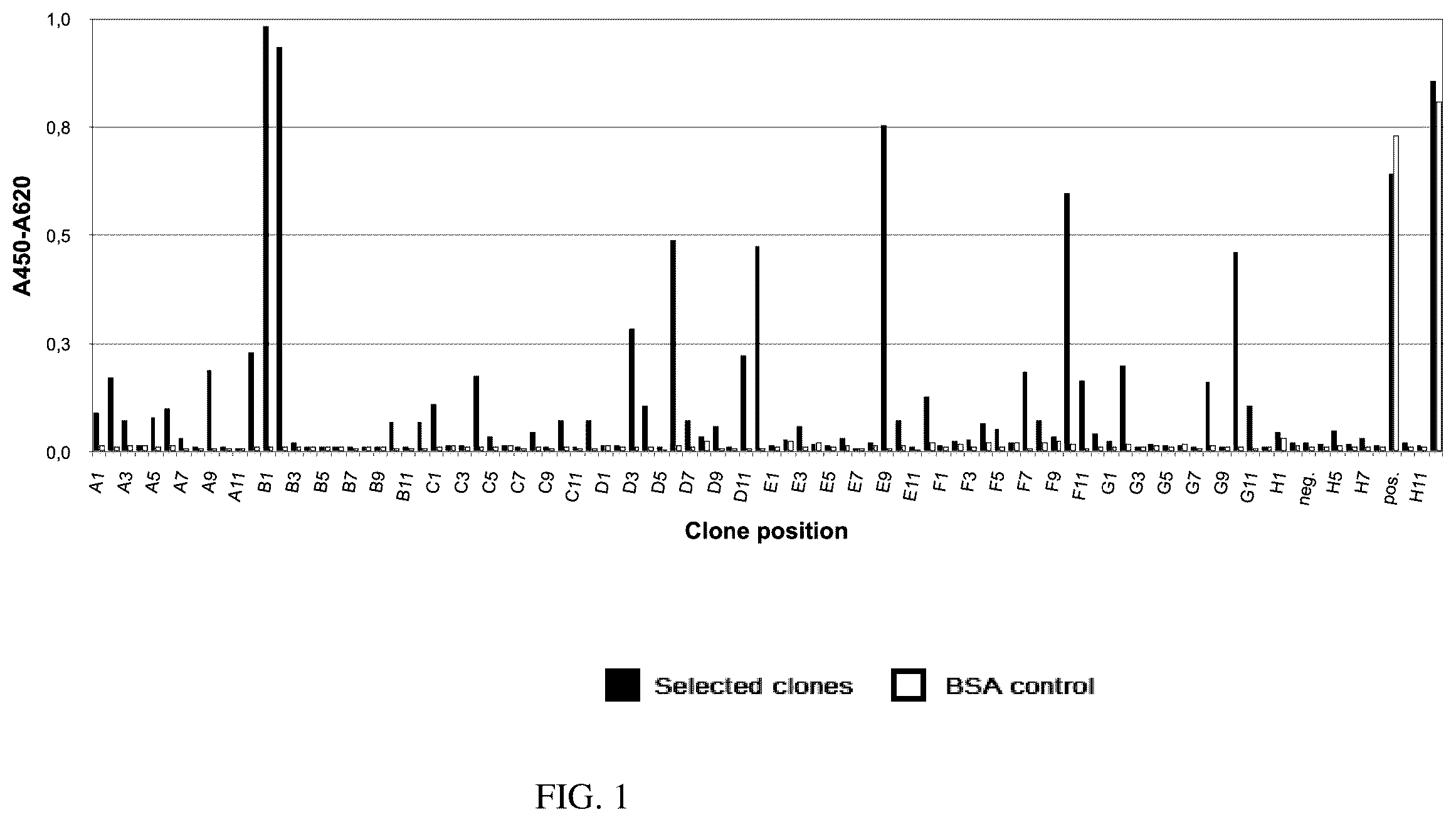 Patent US12590170 — Recombinant human antibodies that inhibit the human tissue kallikrein 7 (KLK7) and their use against diseases that cause desquamation of the skin — Figure 1