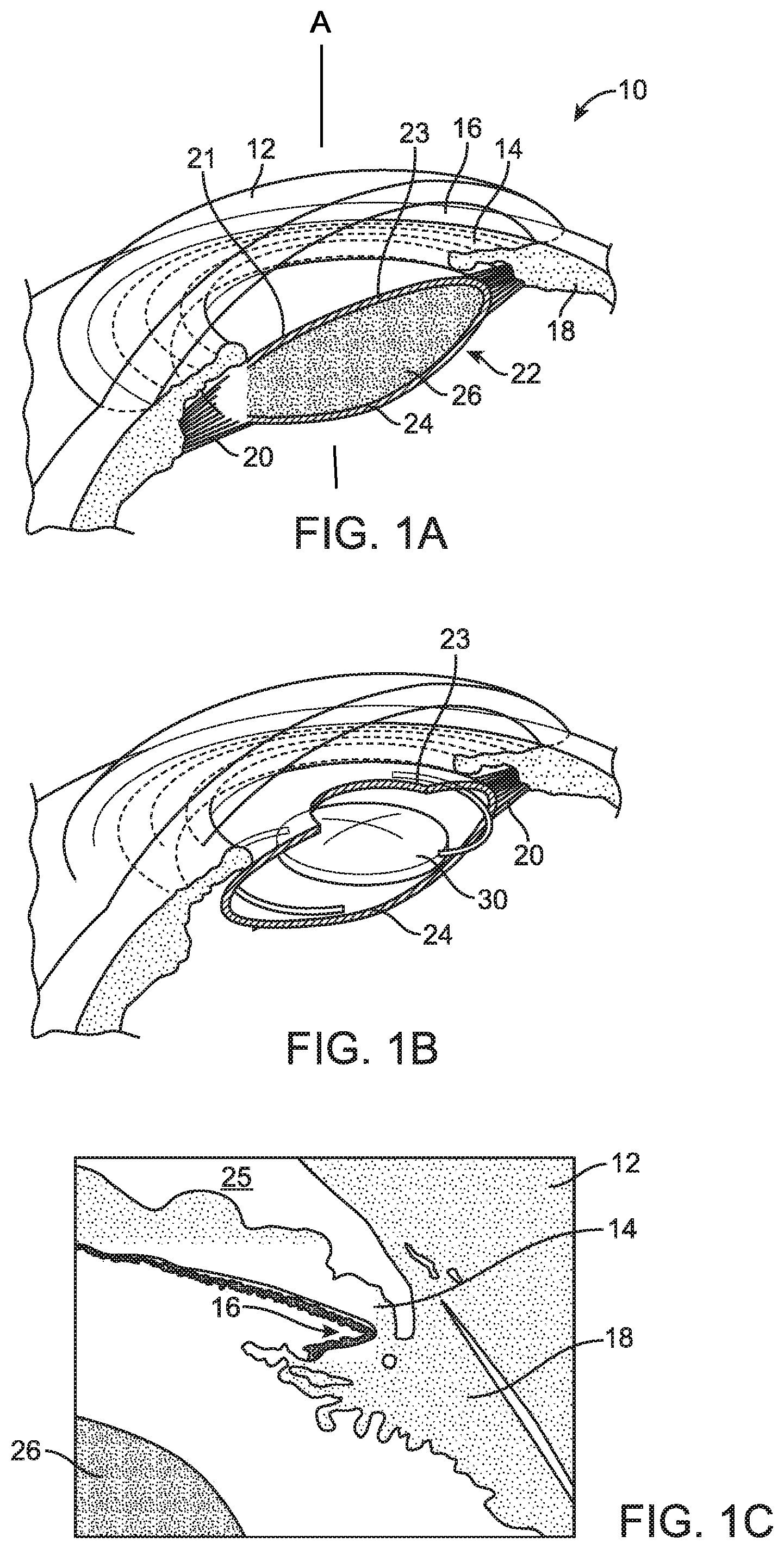 Patent US12590186 — Fluorosilicone polymers, compositions, and uses thereof — Figure 1