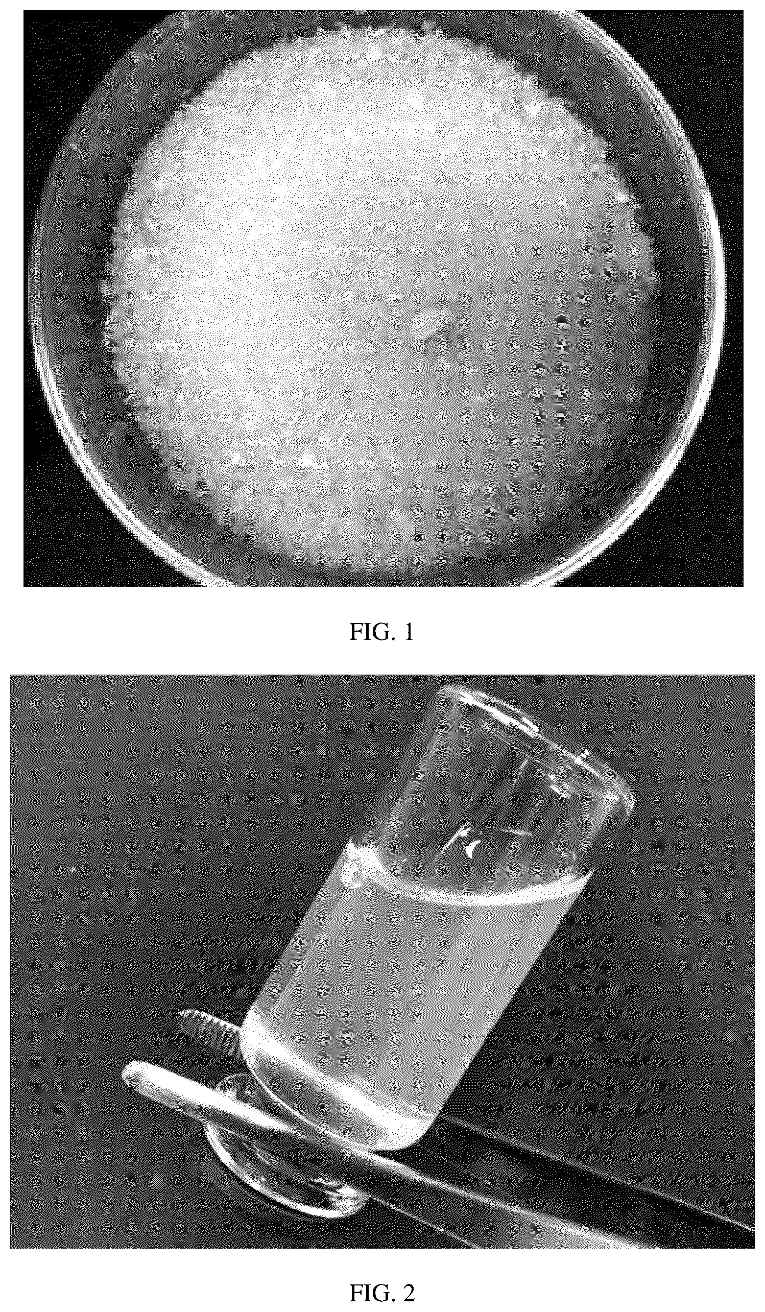 Patent US12590187 — Polymer composite capable of being quickly dissolved or dispersed in aqueous solvent and preparation method and application thereof — Figure 1
