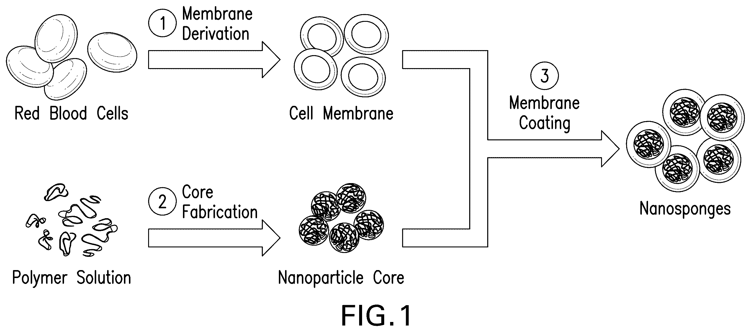 Patent US12590189 — Processes and systems for preparing cellular or viral membranes and nanoparticles — Figure 1