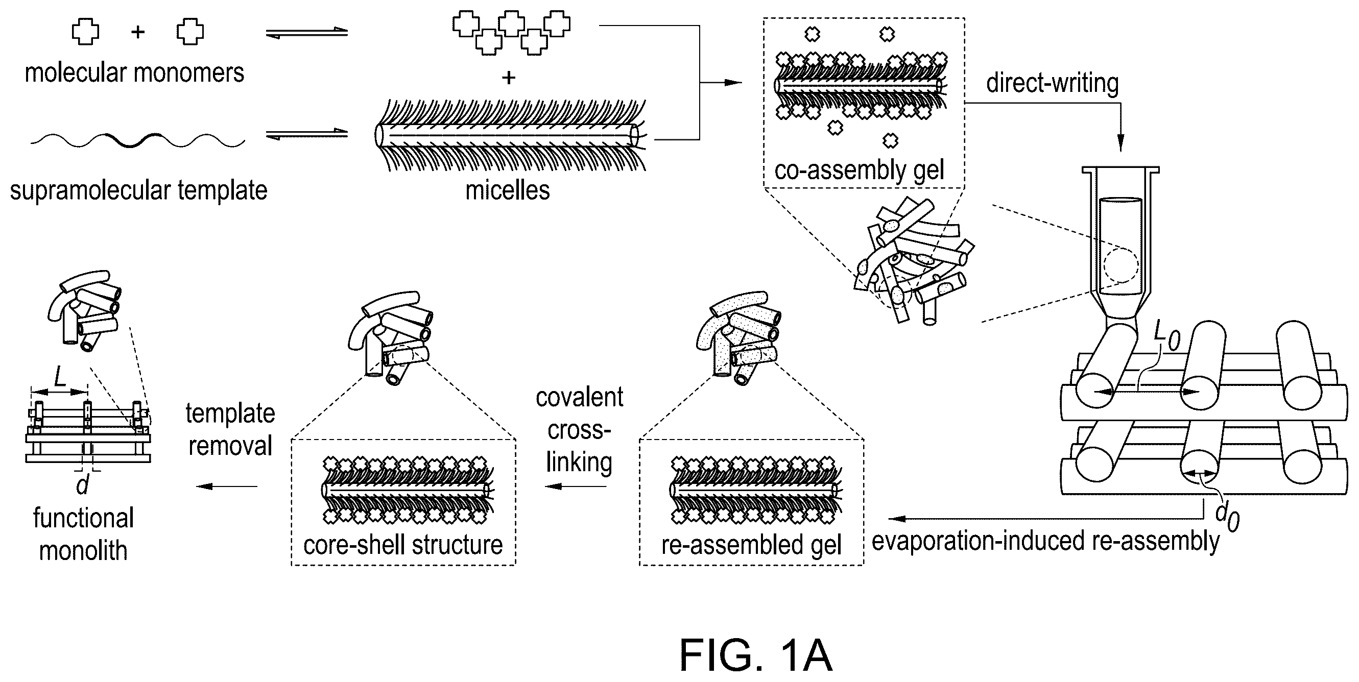 Patent US12590213 — Three-dimensional printing with supramolecular templated hydrogels — Figure 1