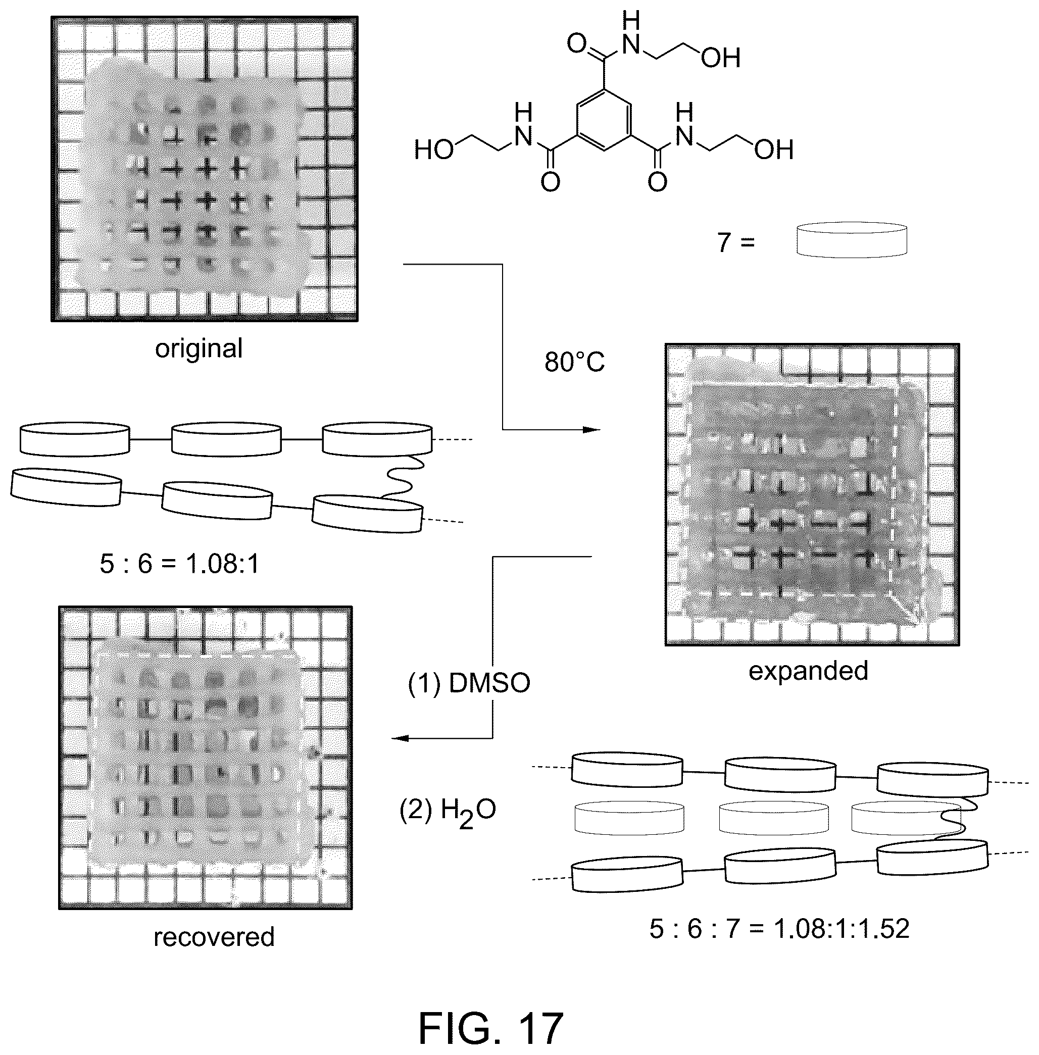 Patent US12590213 Figure 18 – Three-dimensional printing with supramolecular templated hydrogels