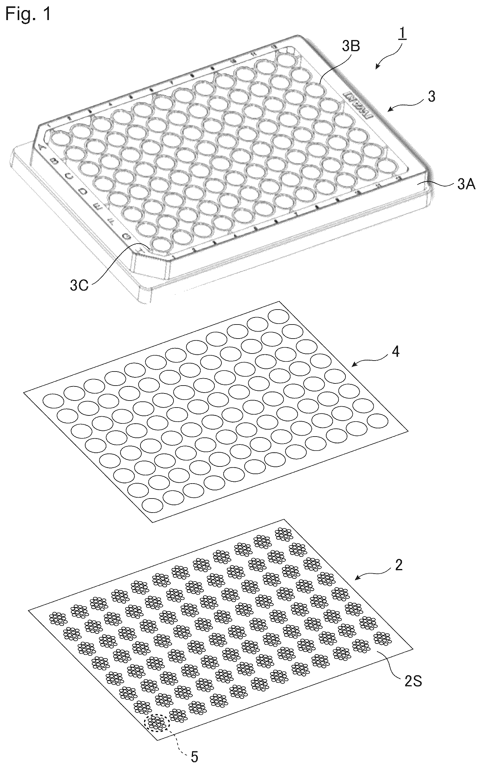Patent US12590279 — Substrate of cell culture container, and cell culture container — Figure 1