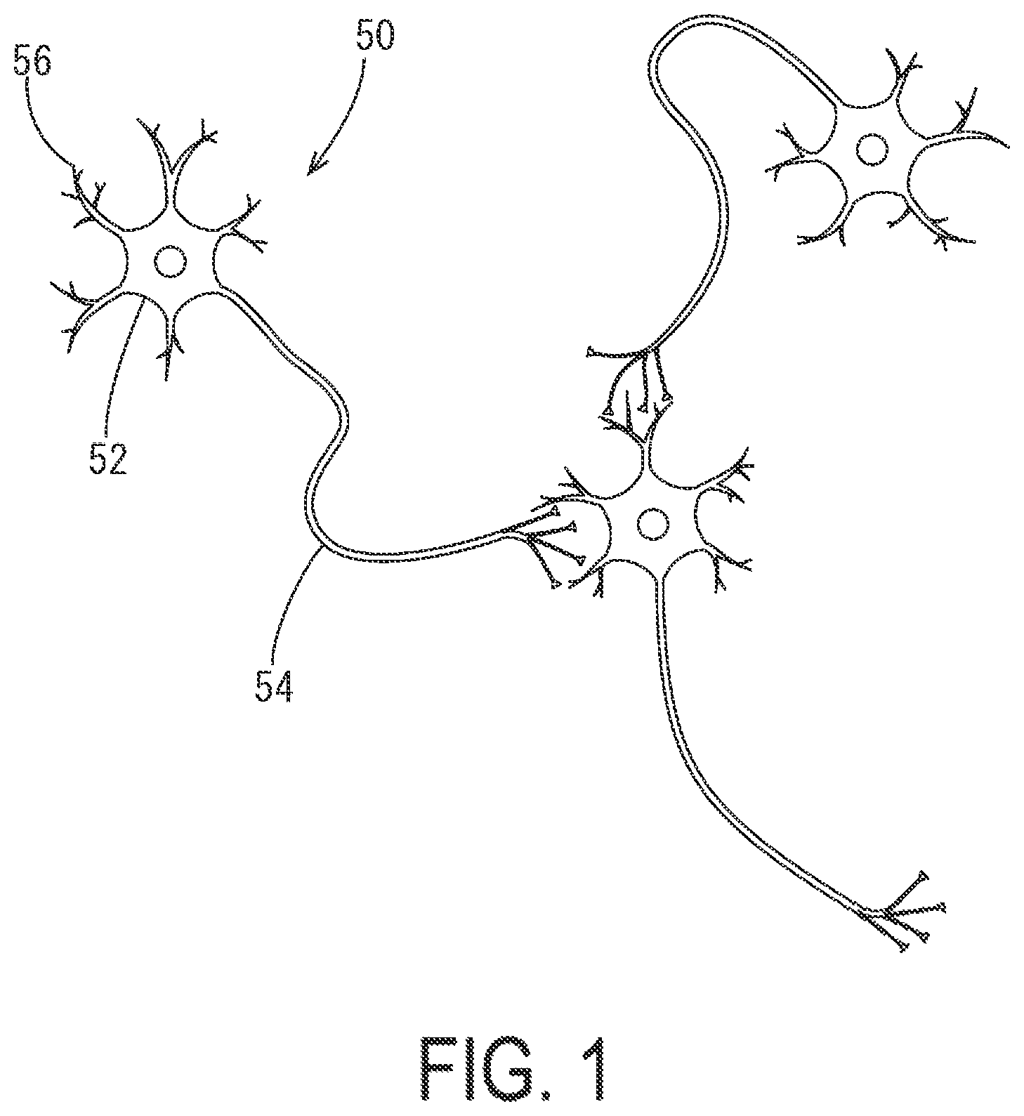 Patent US12590282 — Cell culture apparatus — Figure 1