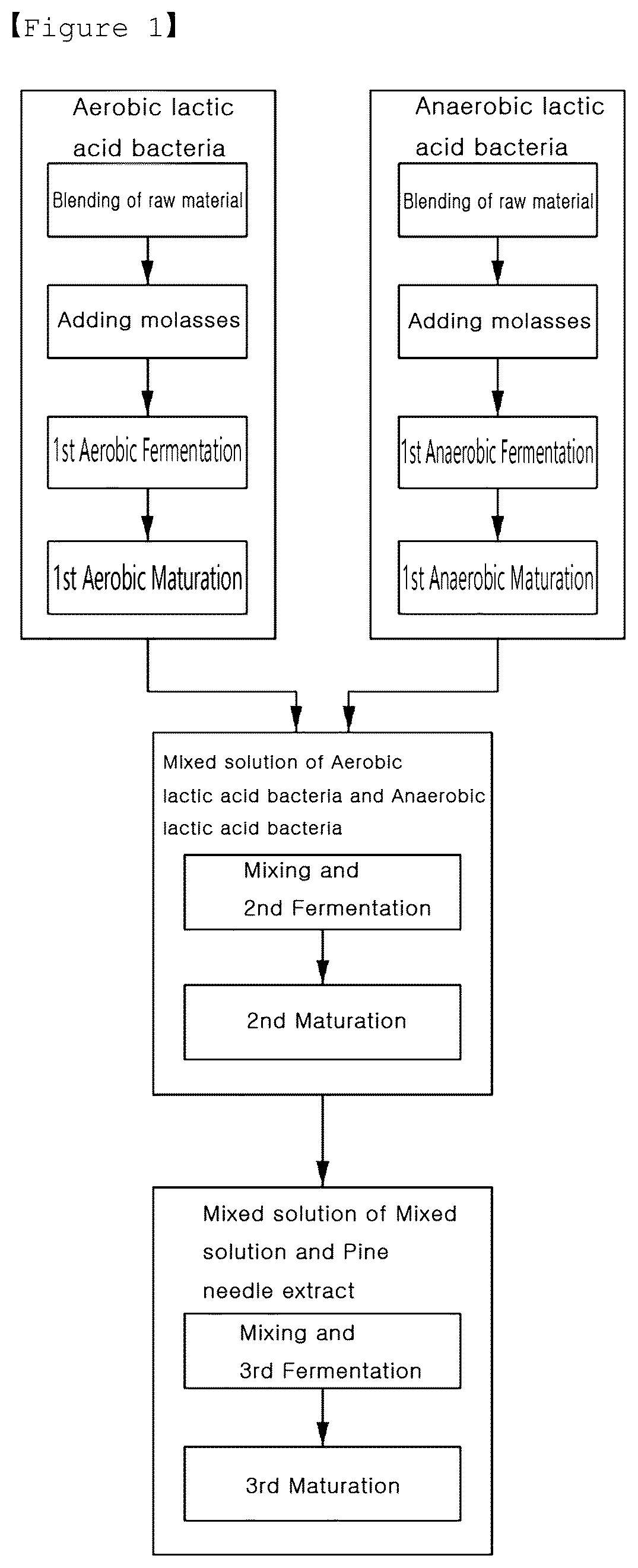 Patent US12590286 — Method for preparing agent for prevention of hair loss and promotion of hair regrowth through fusion fermentation of lactic acid bacteria — Figure 1
