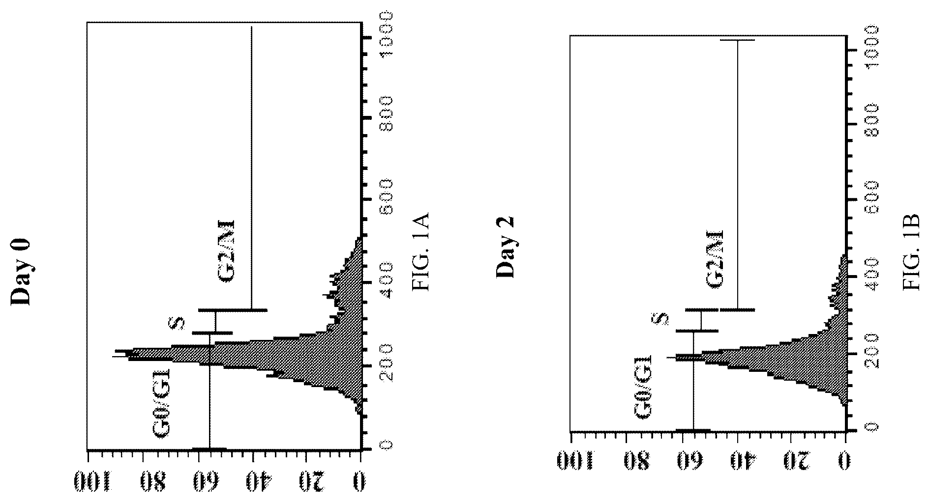 Patent US12590289 — Medium-based method realized for differentiation of dental stem cells into neurons — Figure 1