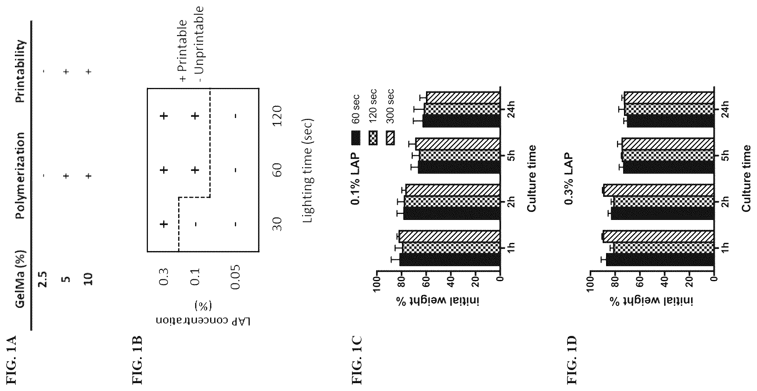Patent US12590296 — Method of culturing immortalized human hepatic progenitors or cells — Figure 1