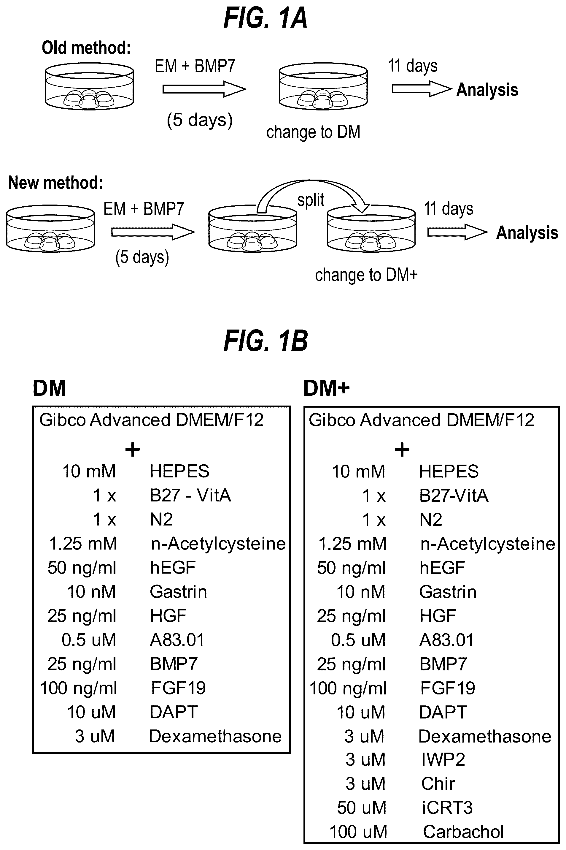 Patent US12590297 — Differentiation method — Figure 1