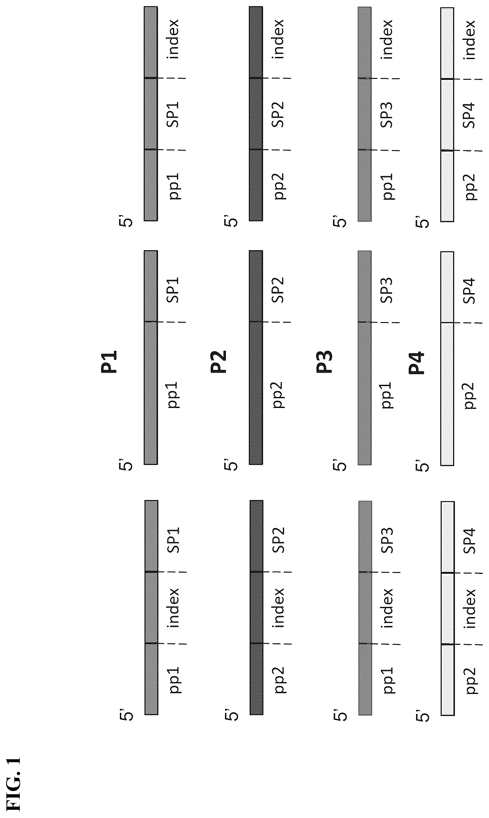 Patent US12590302 — Multiplexed sequencing in cells and tissues — Figure 1