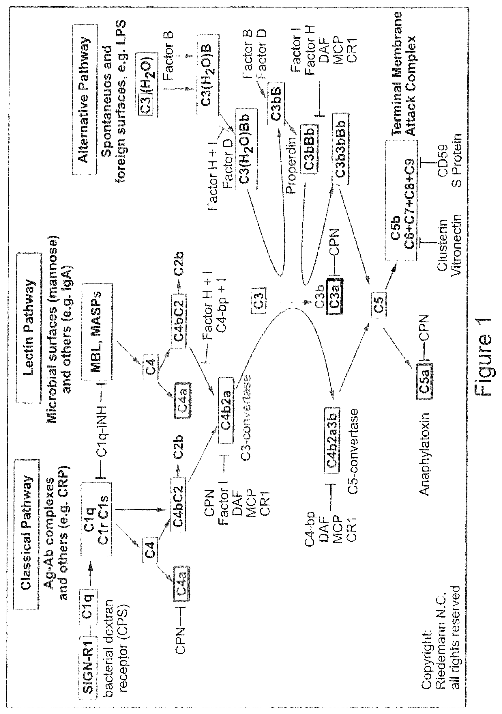 Patent US12590305 — Complement component C5 iRNA compositions and methods of use thereof — Figure 1
