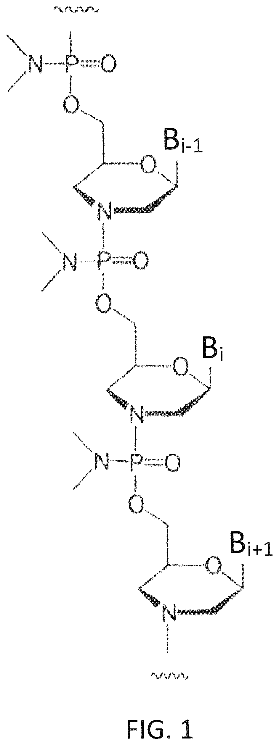 Patent US12590308 — Compositions and methods for suppressing intracellular synthesis of the beta subunit of human chorionic gonadotropin — Figure 1