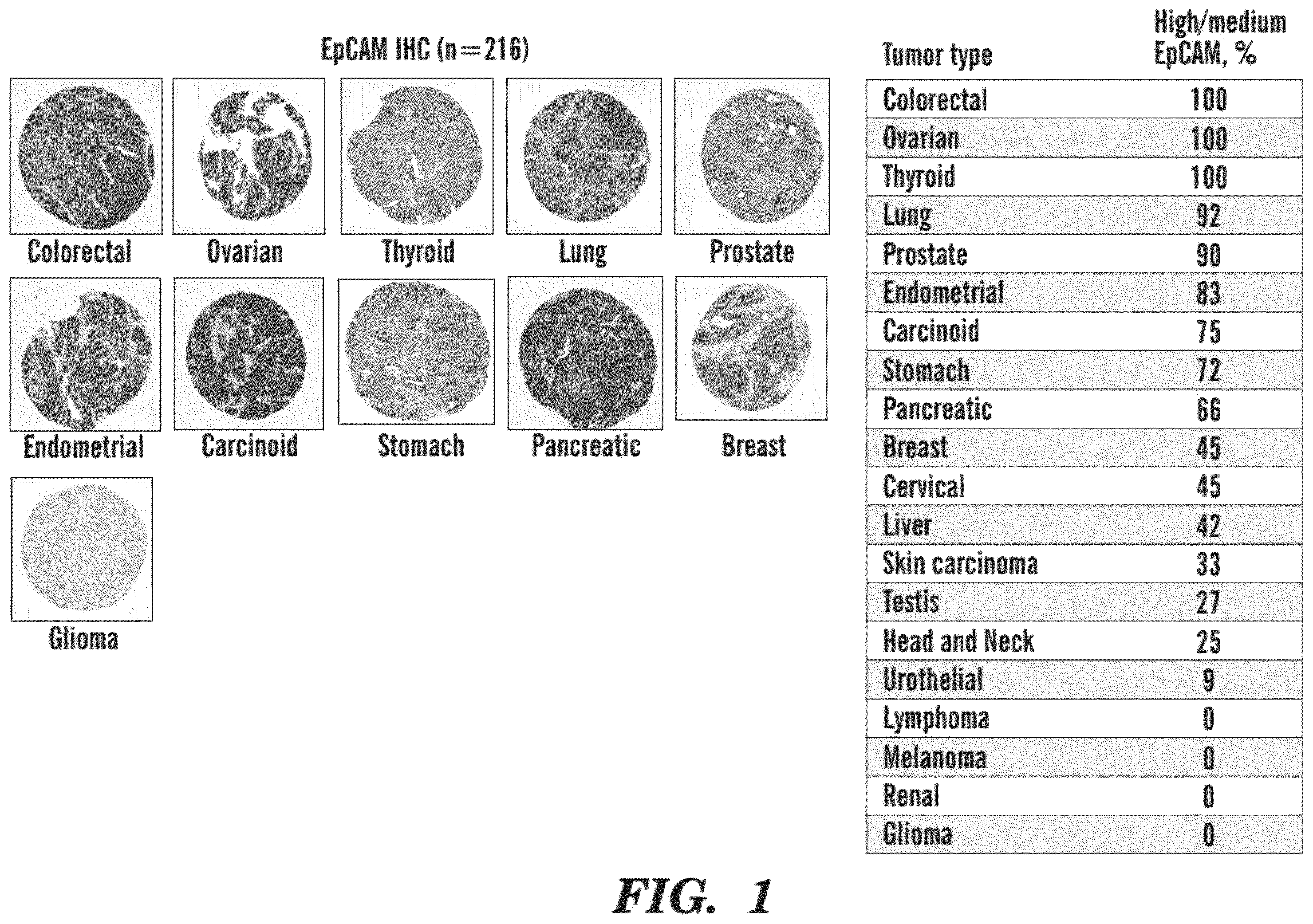 Patent US12590311 — Methods and compositions for the treatment of cancer — Figure 1