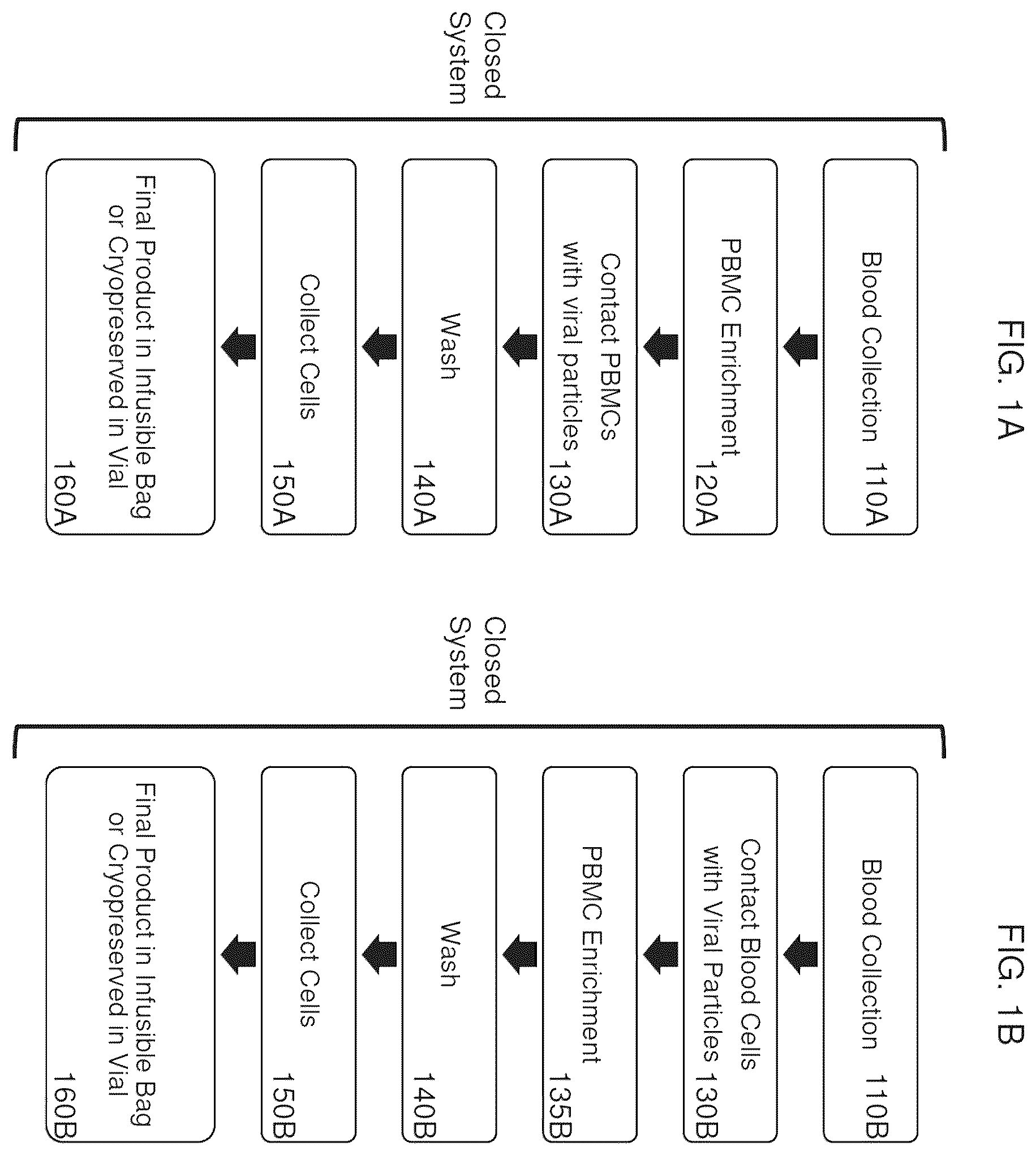 Patent US12590321 — Methods and compositions for genetically modifying and expanding lymphocytes and regulating the activity thereof — Figure 1