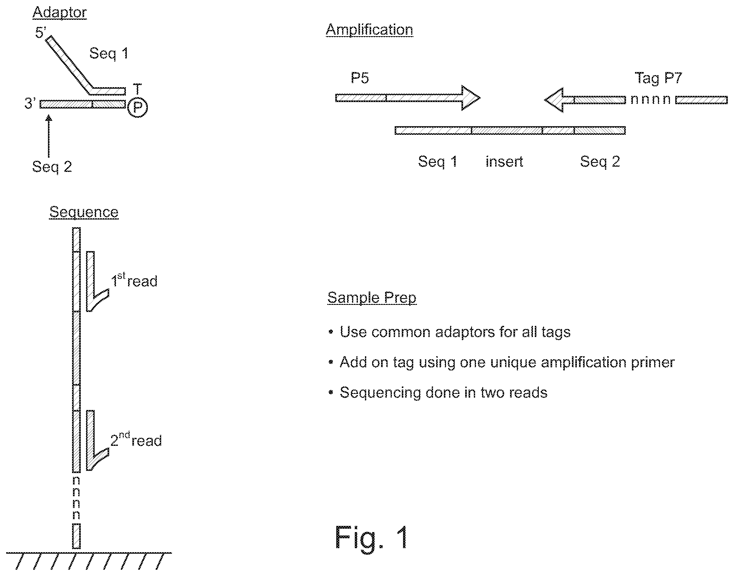 Patent US12590330 — Methods for indexing samples and sequencing multiple polynucleotide templates — Figure 1