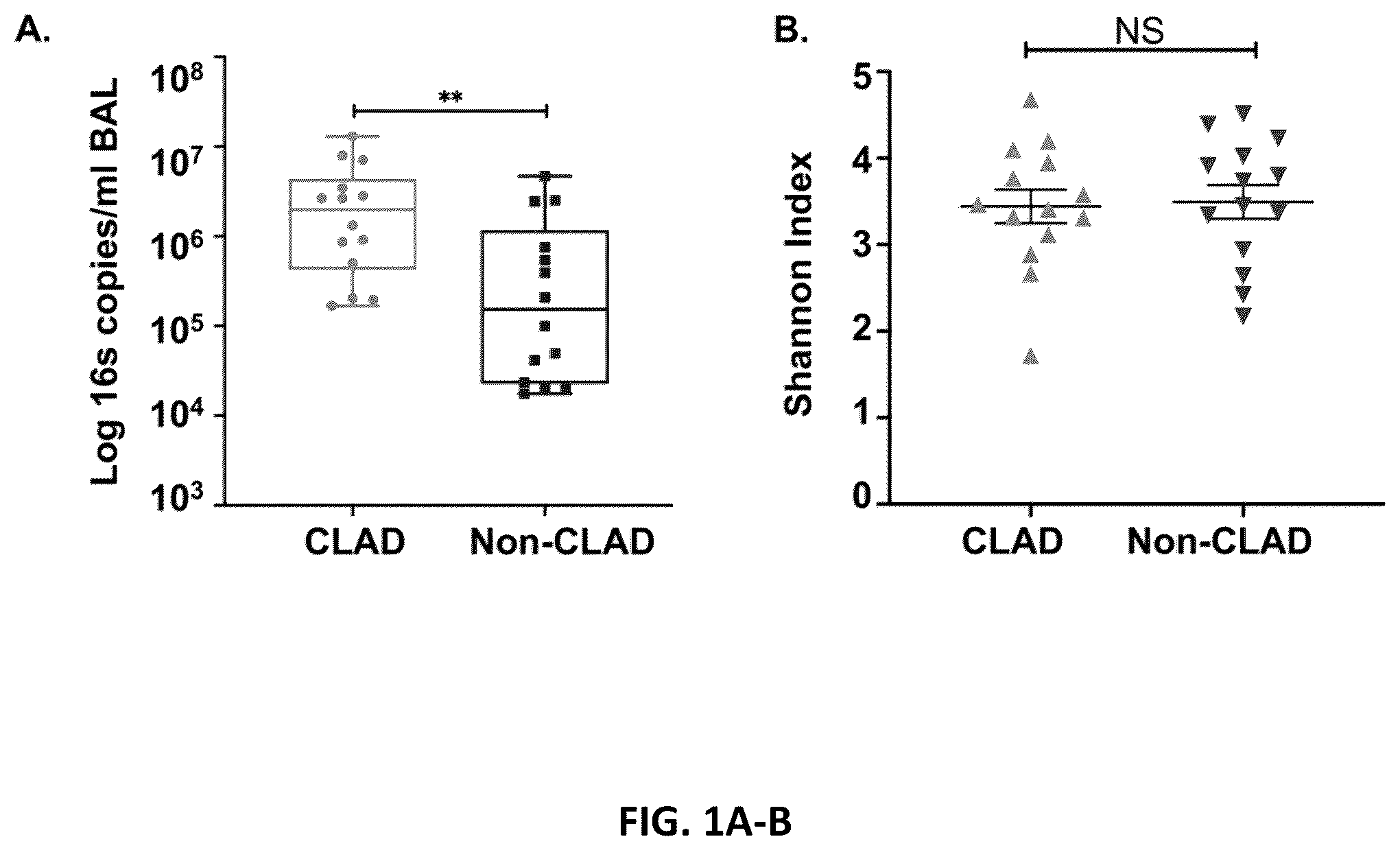 Patent US12590333 Figure 1 – N-Myc-interactor protein as a marker for chronic lung disease and uses thereof