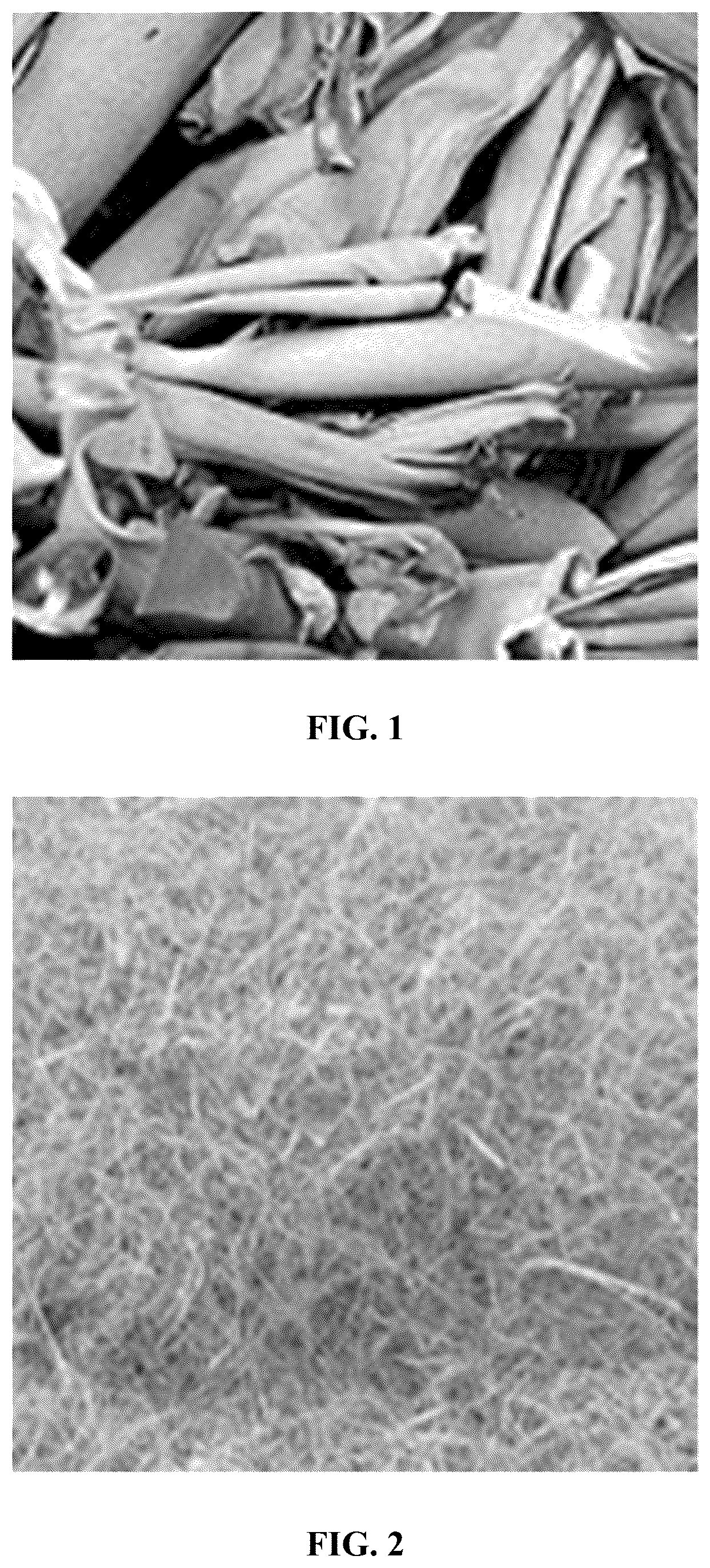 Patent US12590411 — Paper pulp, a method for producing paper pulp, and paper pulp products — Figure 1