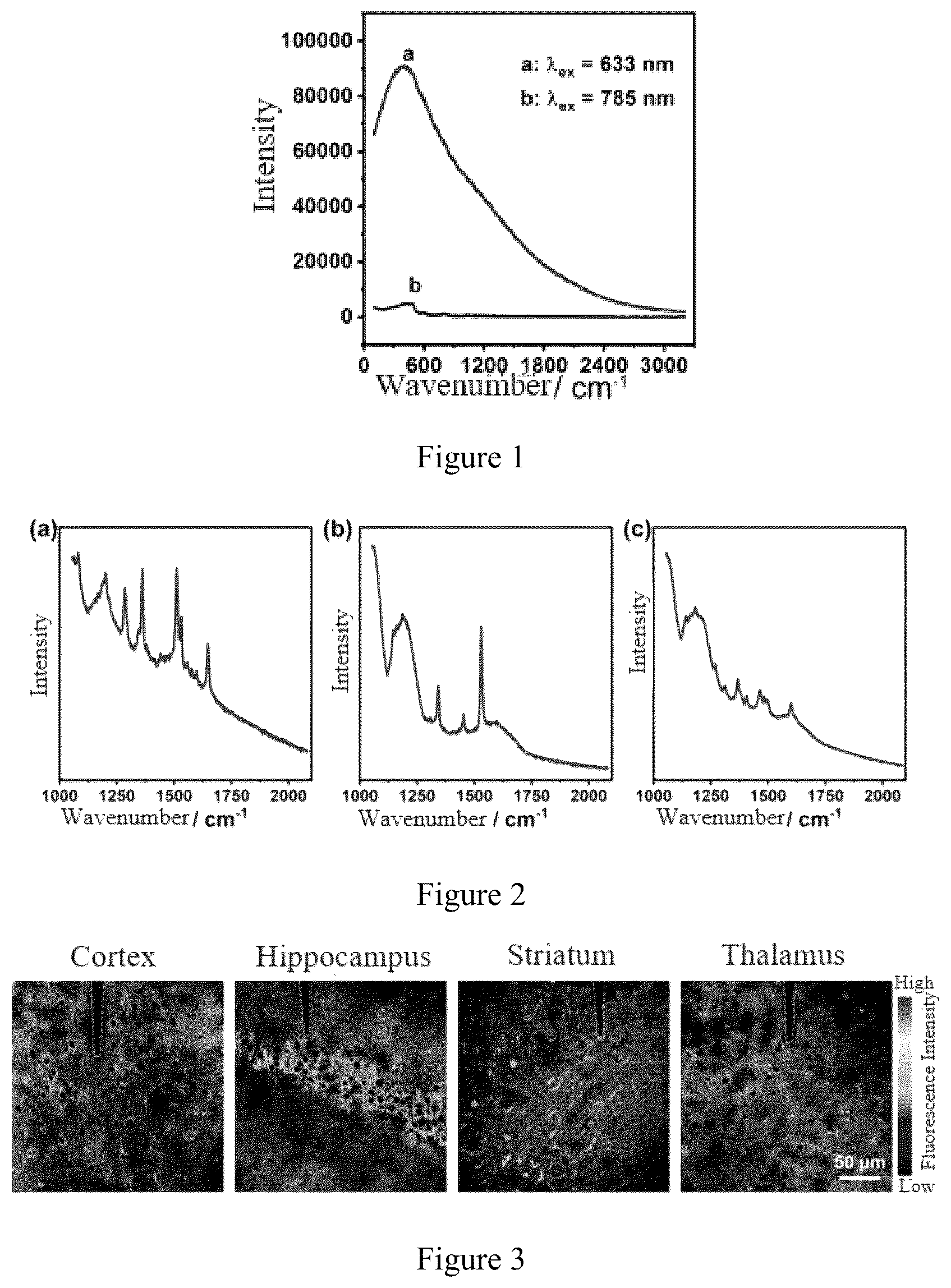 Patent US12590897 — Optical-fiber Raman photometer, construction method therefor and application thereof — Figure 1