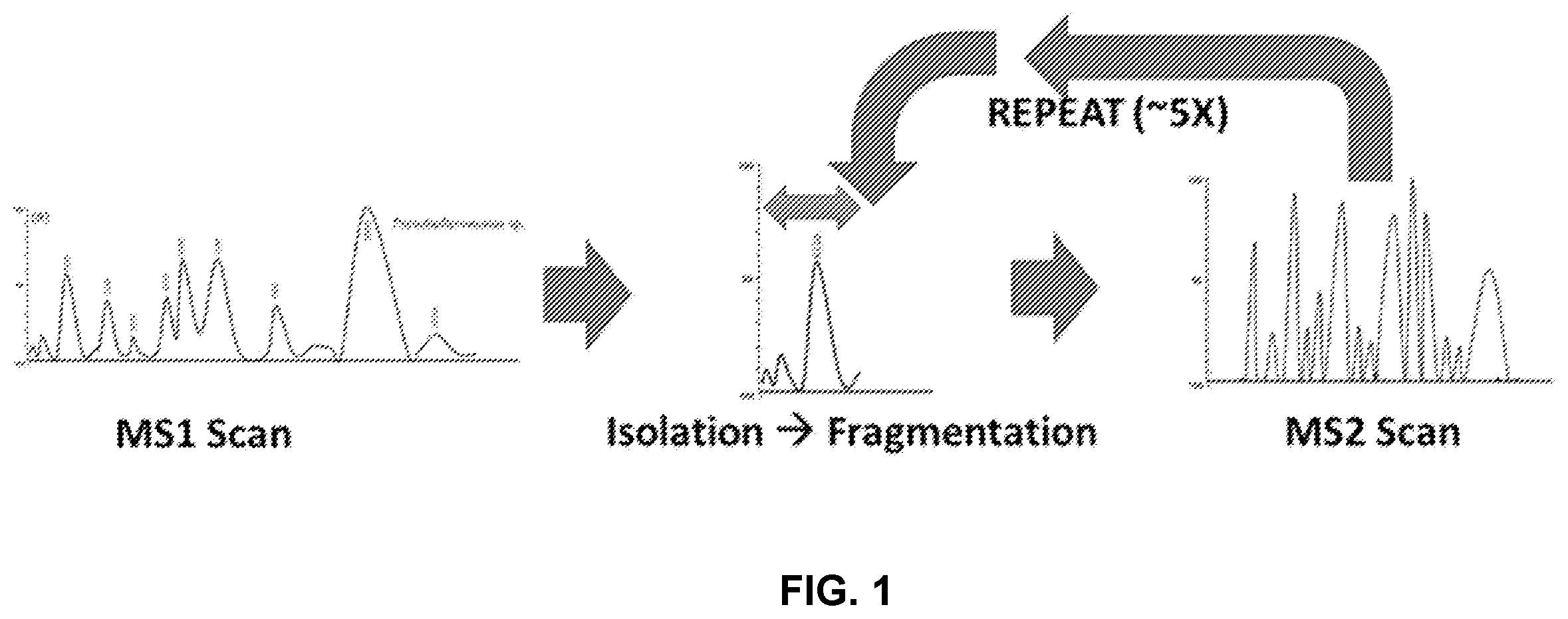 Patent US12590935 — Bio-identification using low resolution tandem mass spectrometry — Figure 1