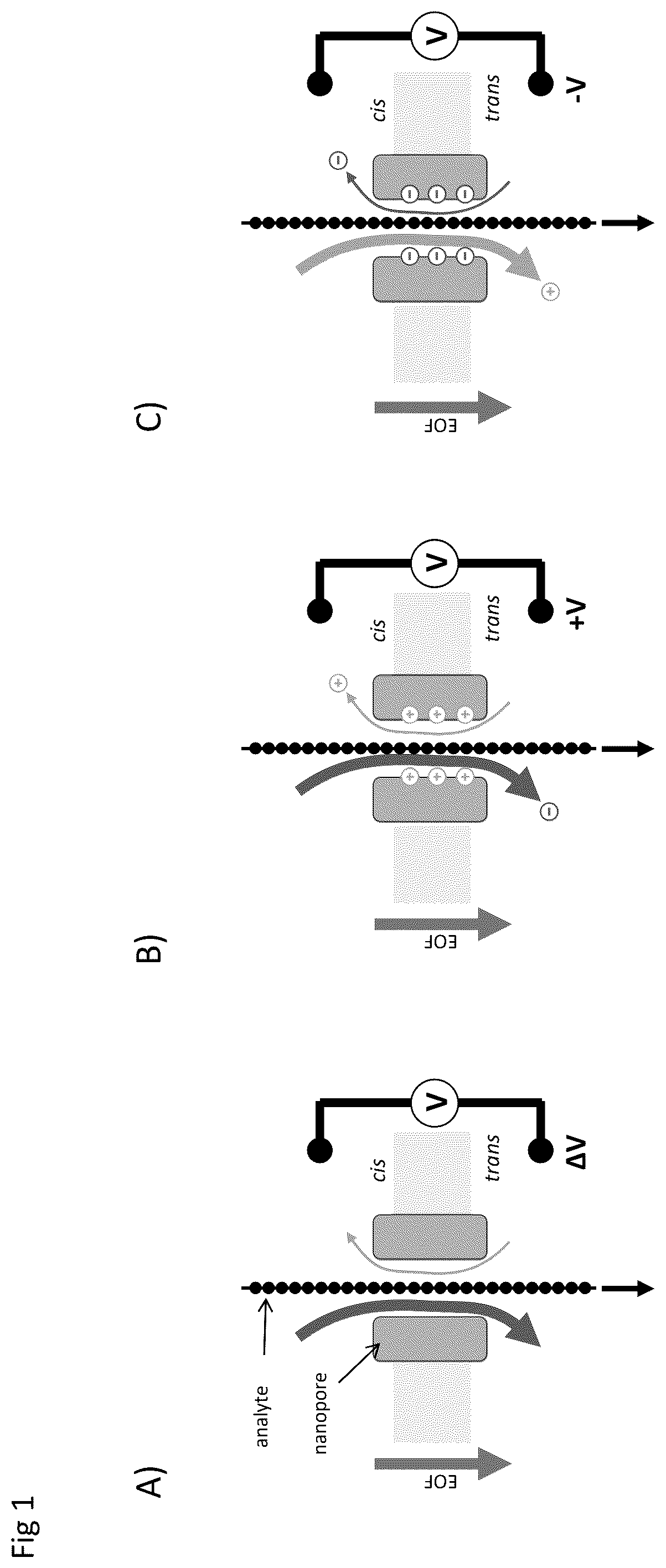 Patent US12590945 Figure 1 – Nanopore-based analysis of analytes