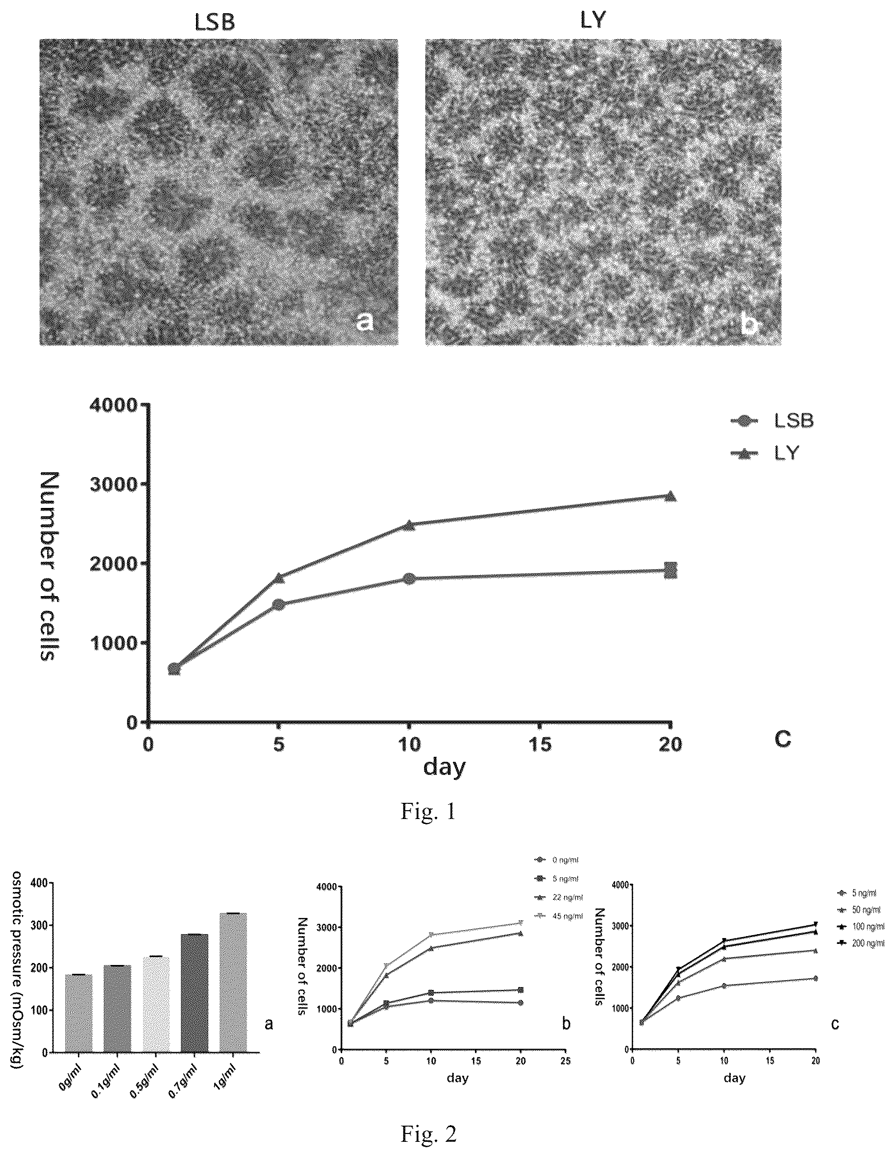 Patent US12590954 — Neural stem cell-induced differential medium and induction differentiation method — Figure 1
