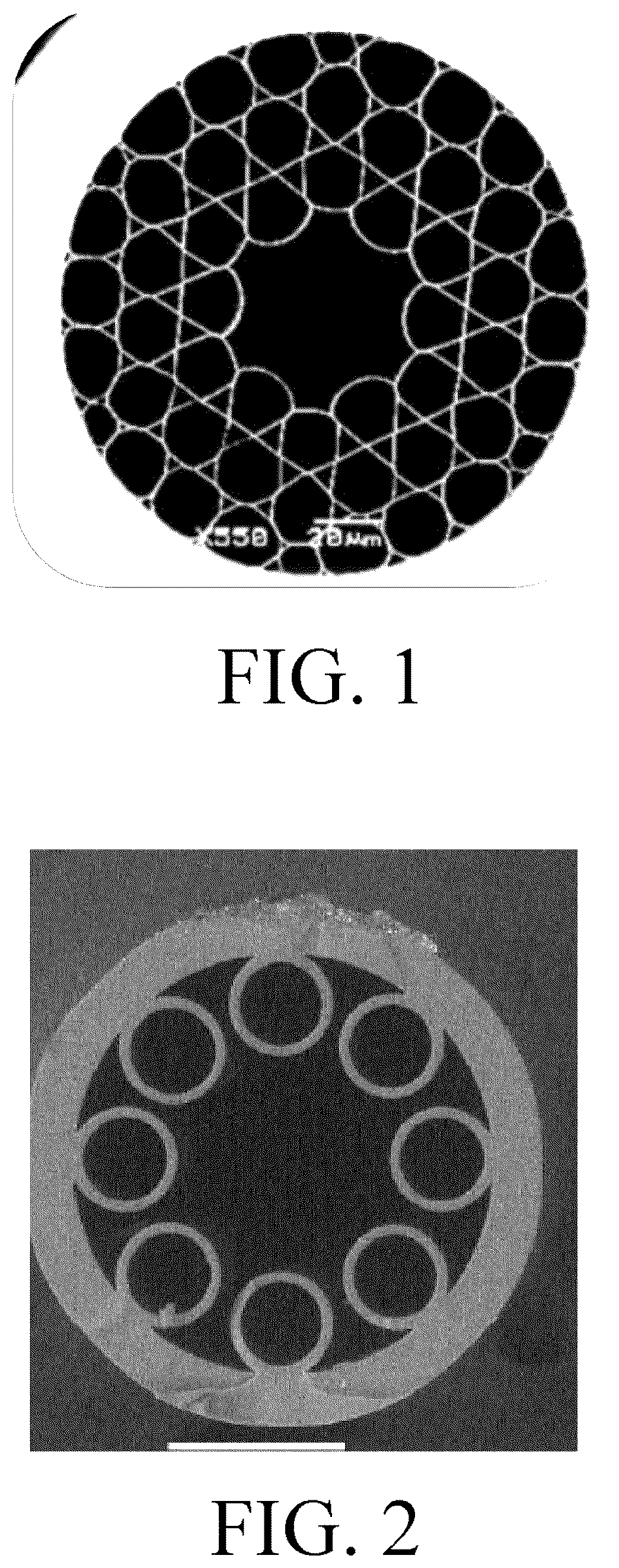 Patent US12591091 — Anti-resonant hollow-core fiber having offset and fan-shaped cladding elements — Figure 1