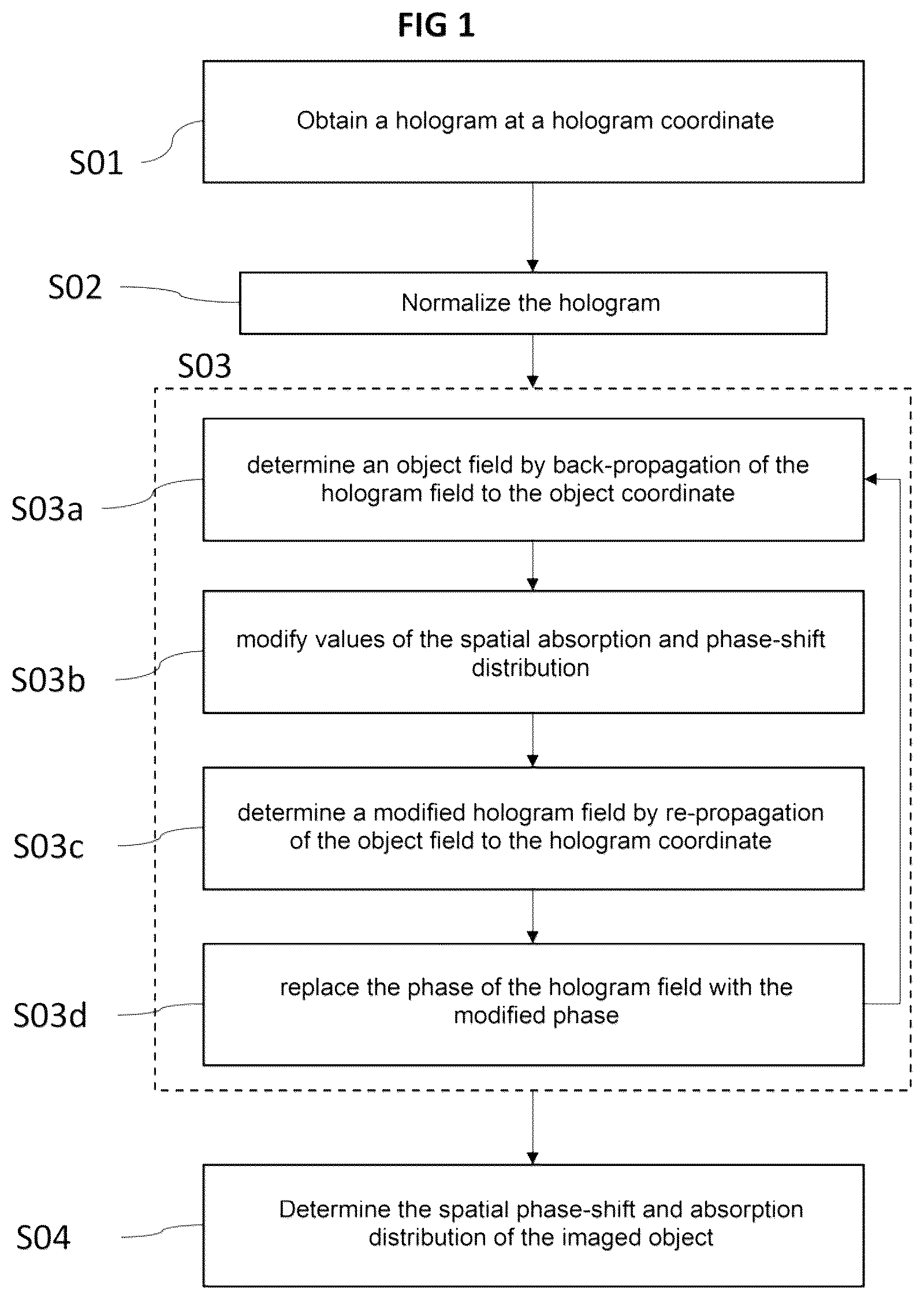 Patent US12591202 — Digital holographic imaging technique with twin image elimination — Figure 1