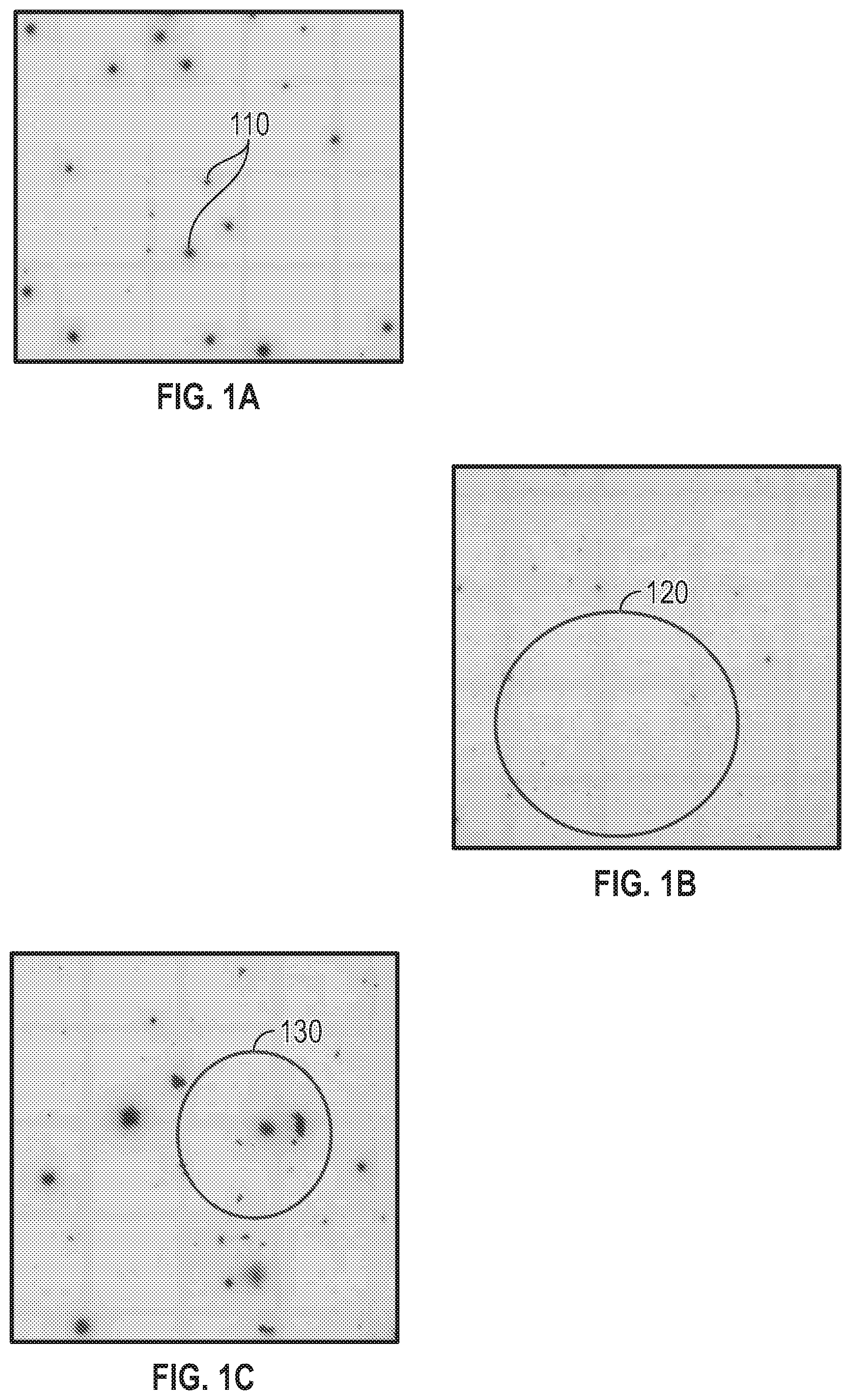 Patent US12592090 — Compensation of intensity variances in images used for colony enumeration — Figure 1
